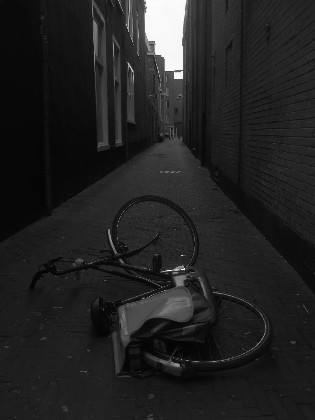 Holland Bike Shot Obligatory copy.jpg