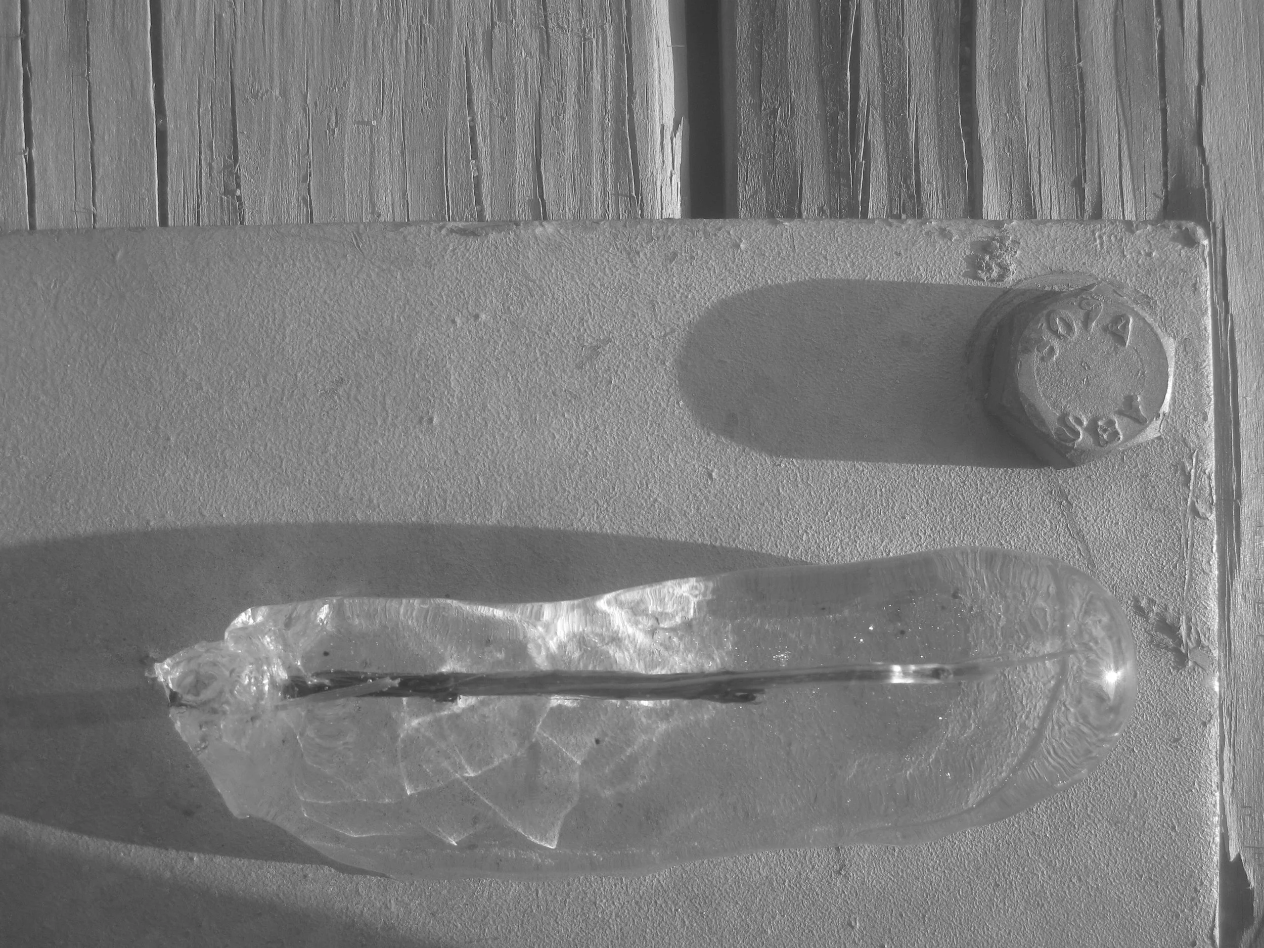 Ice Stick Beach Pond.JPG