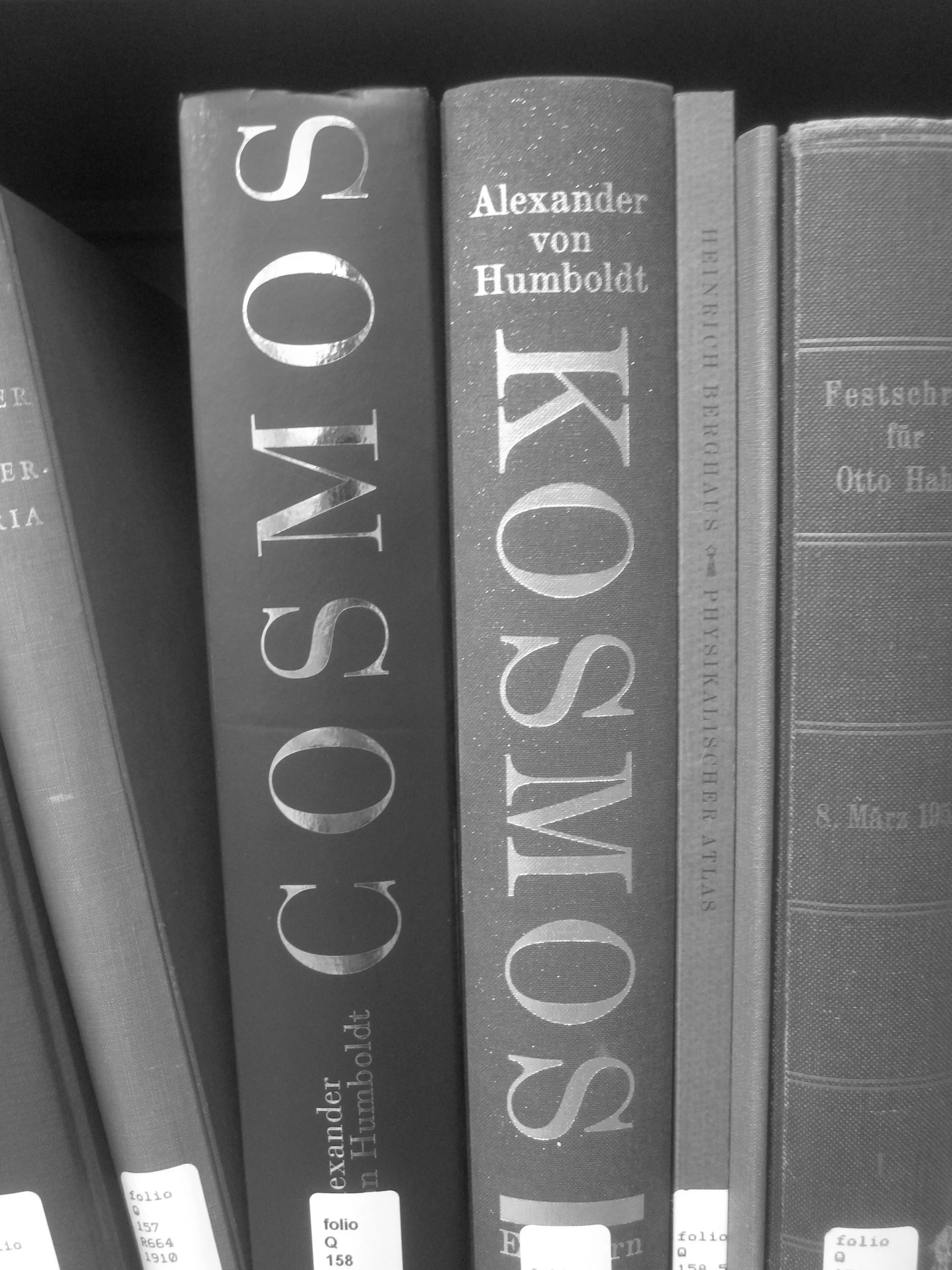 Kosmos copy.jpg