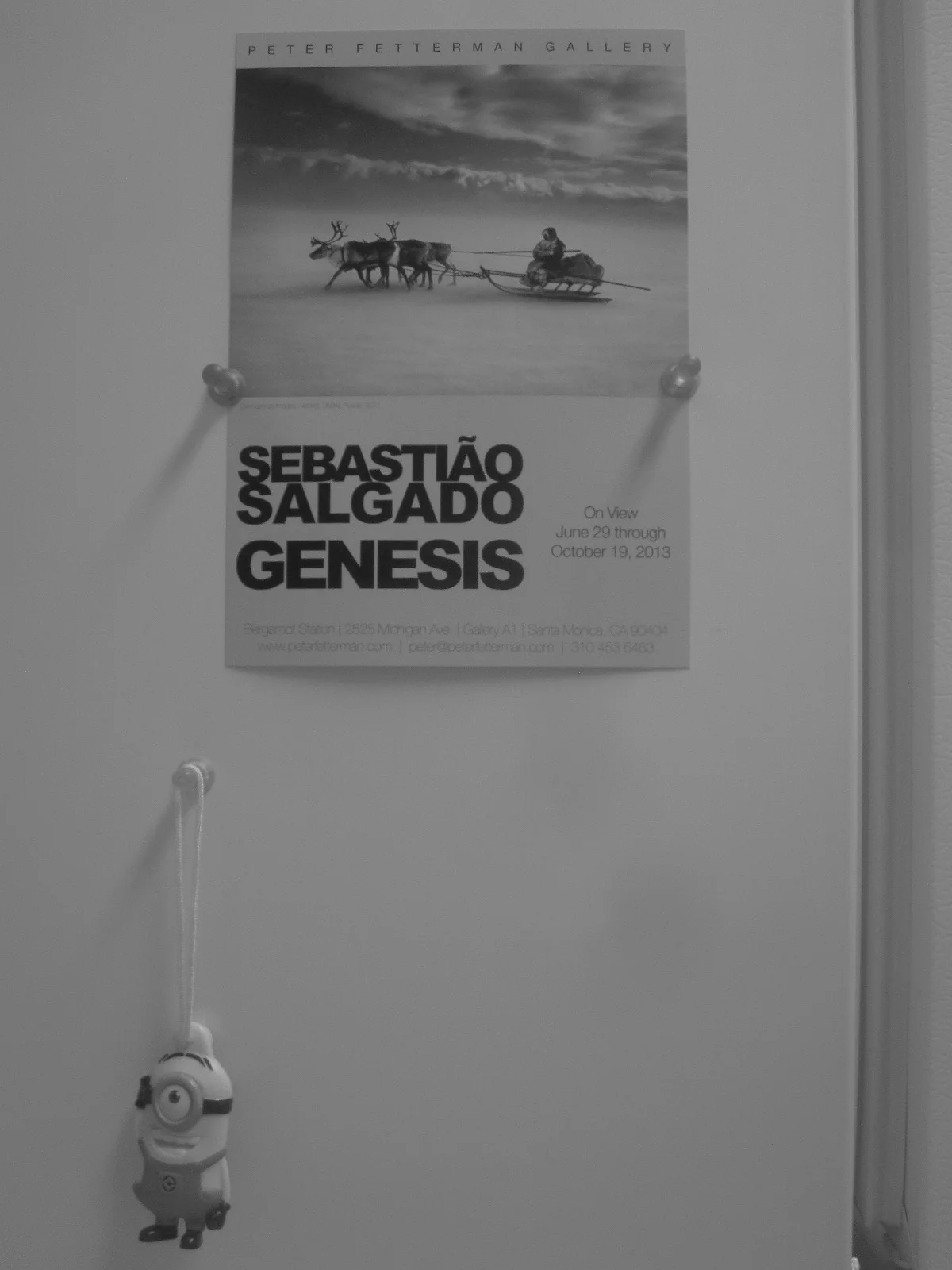 Salgado Minion copy.jpg