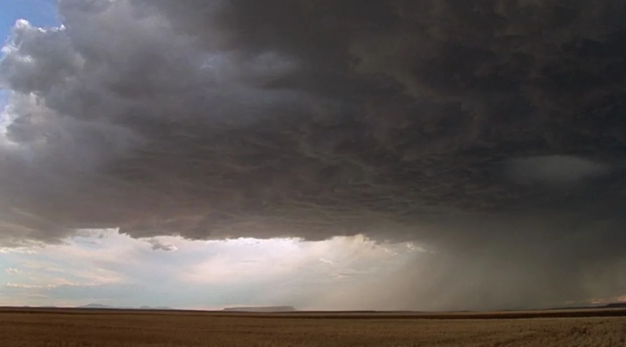 70e33-terrence-malick-days-of-heaven-cinematography.jpg