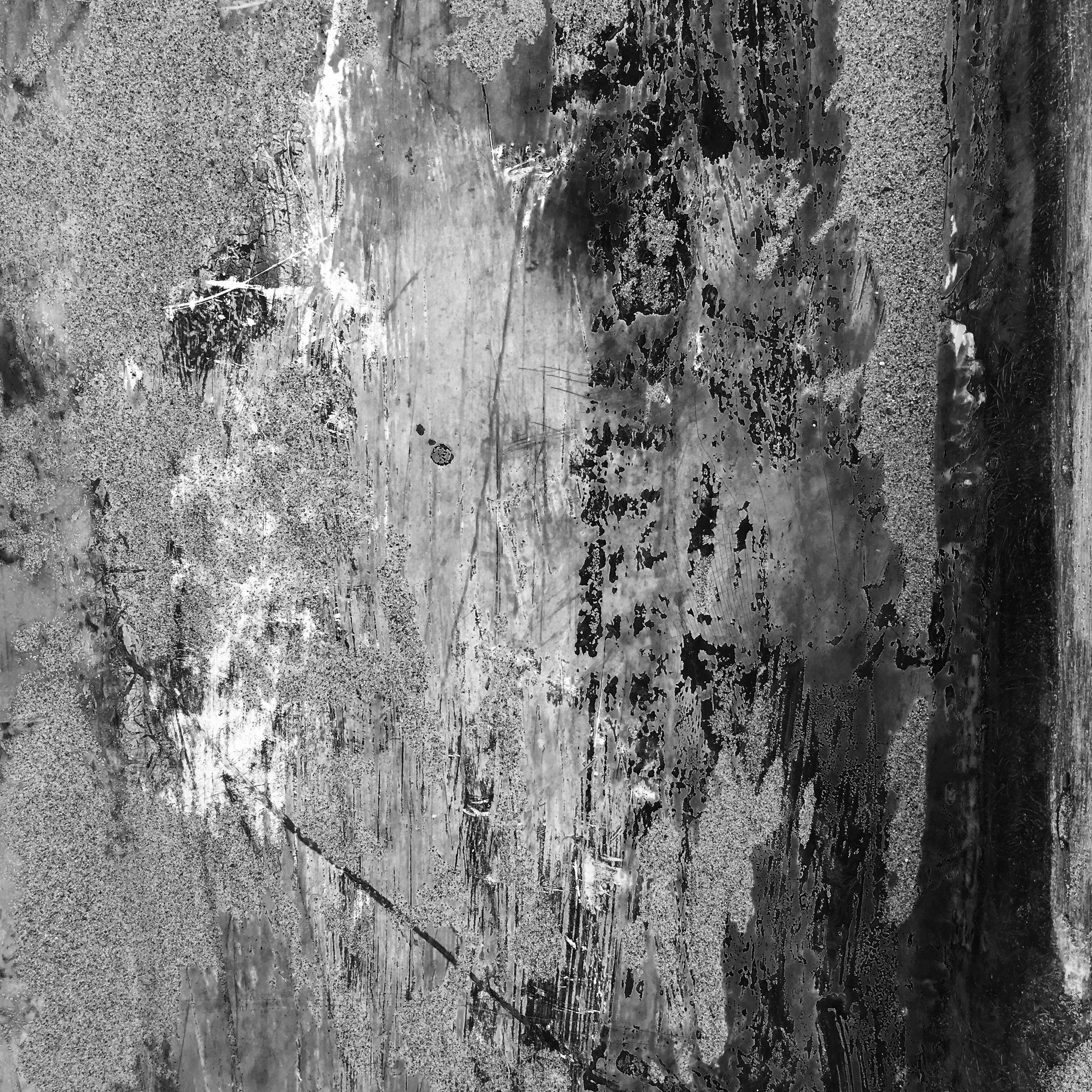 Bottom of the Skiff Wickford.jpg