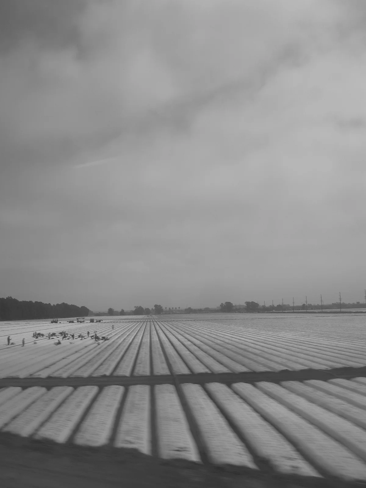 Migrant Workers.jpg