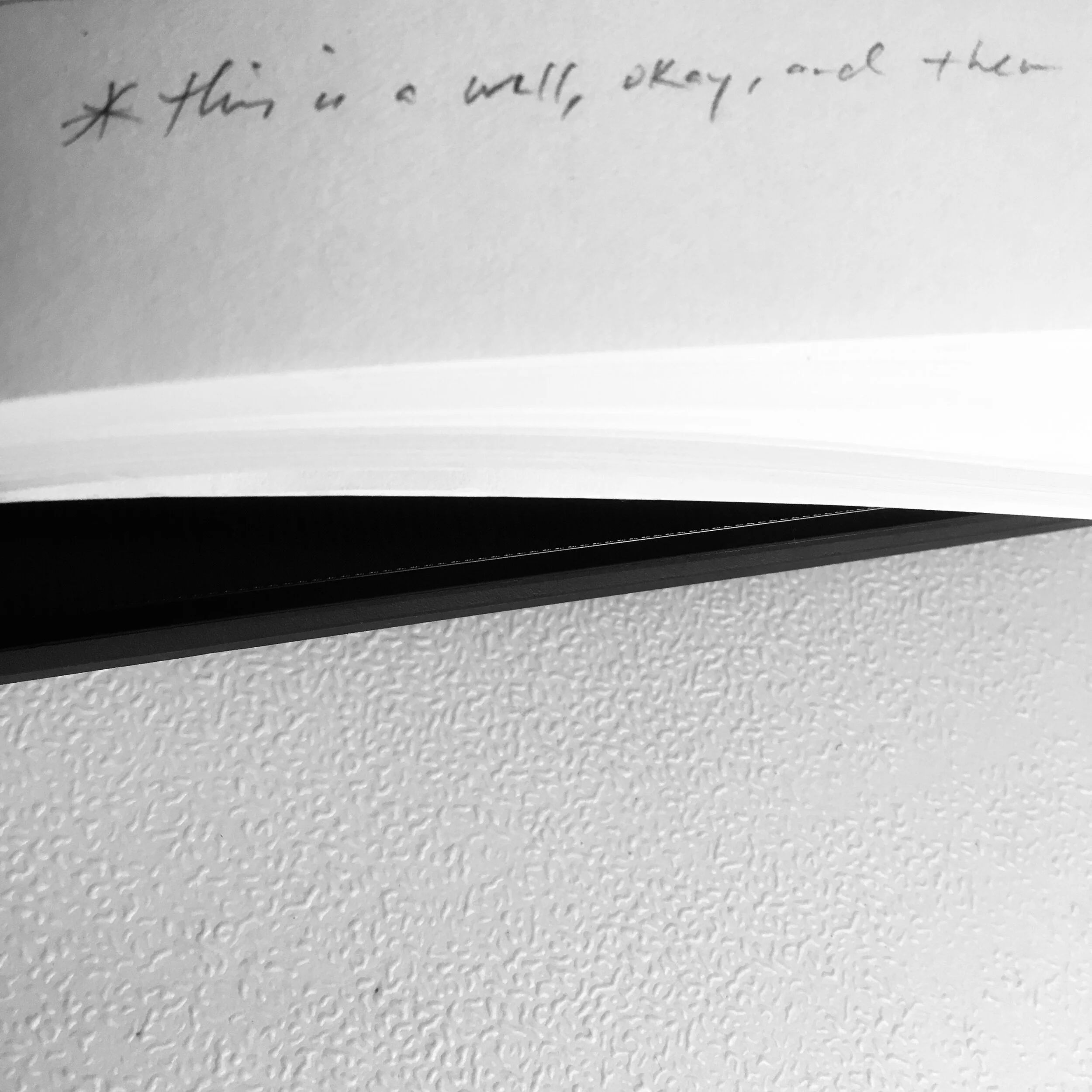 This is A Well OK Marginalia.JPEG