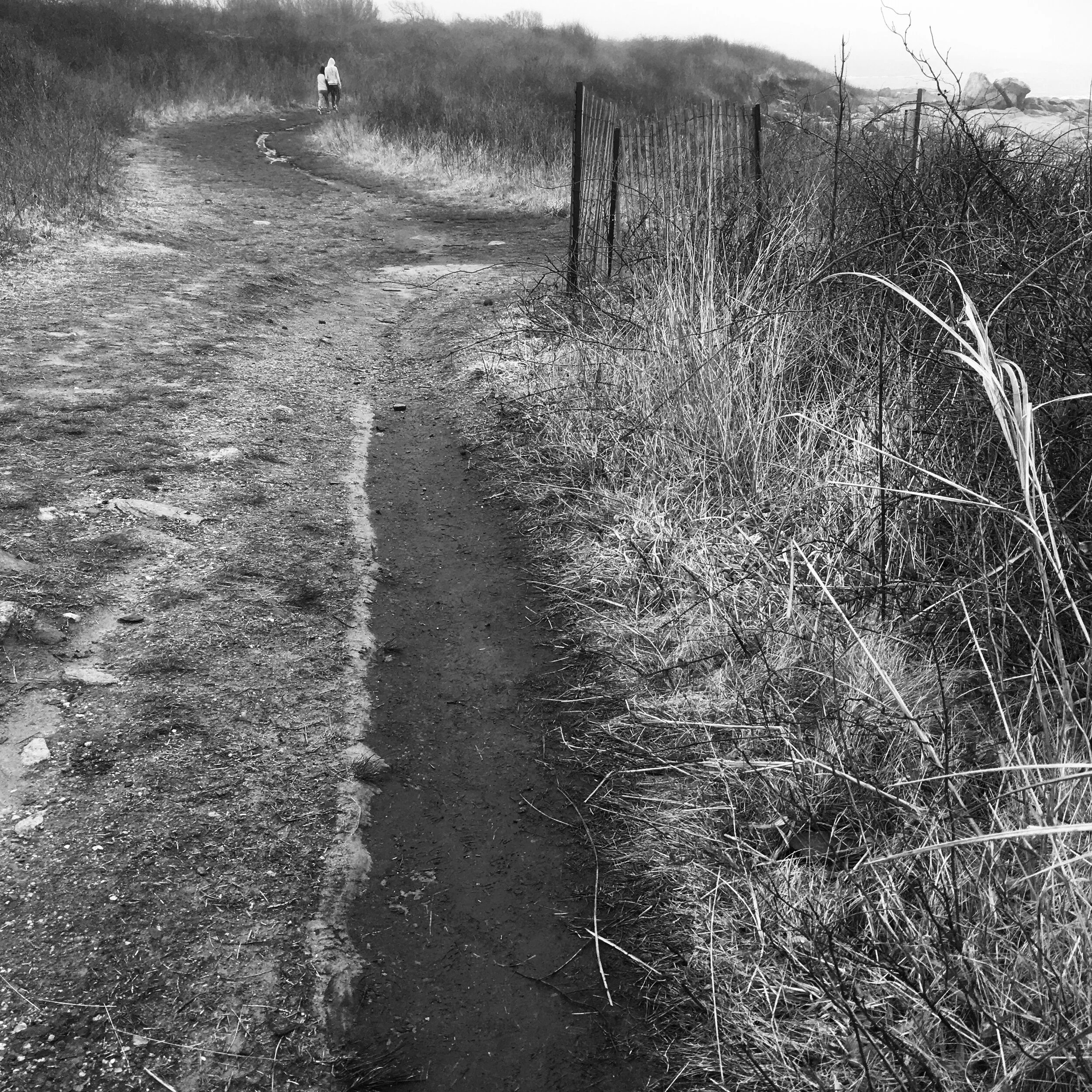 Ocean Path Narragansett.JPEG