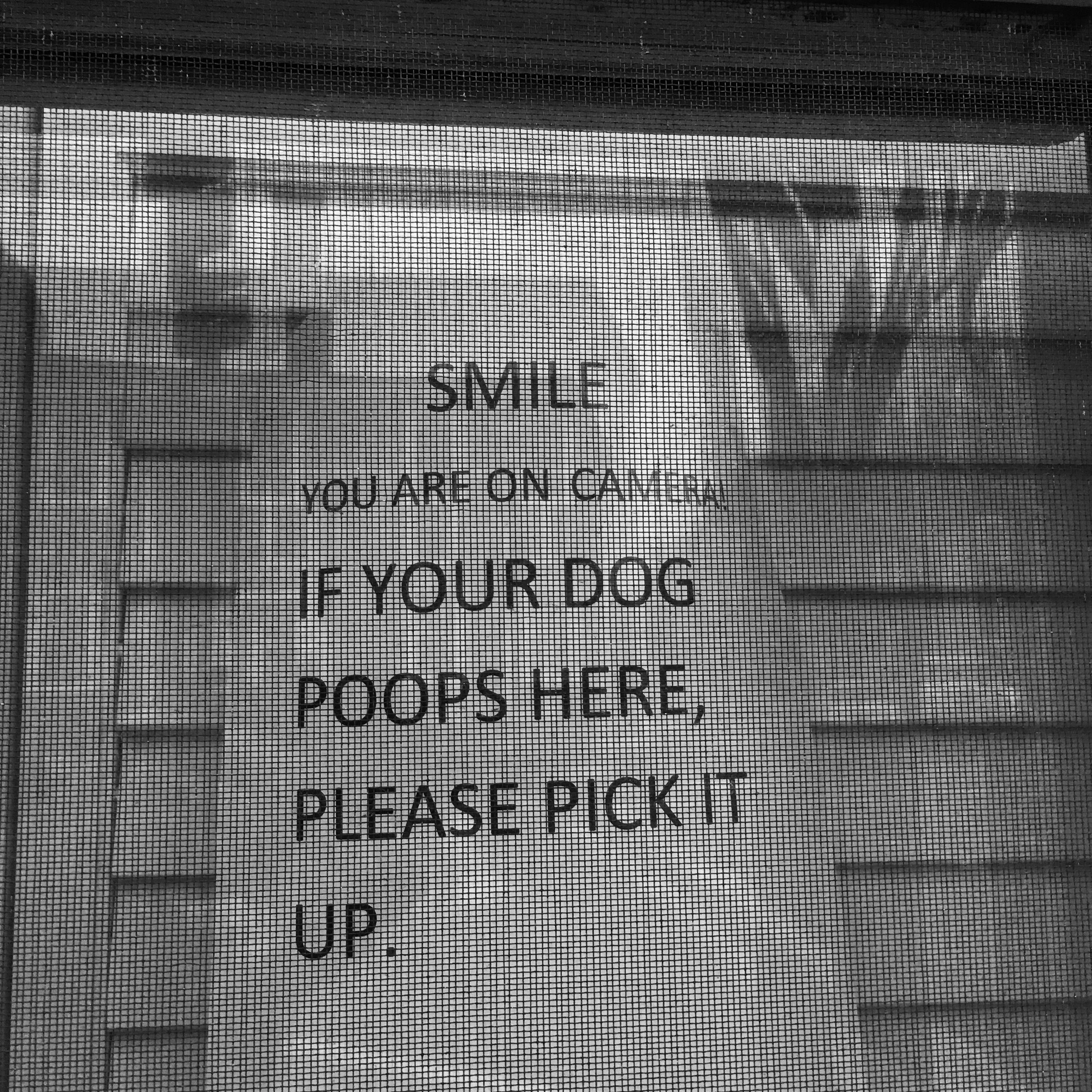 Dog Poop Smile II.JPEG