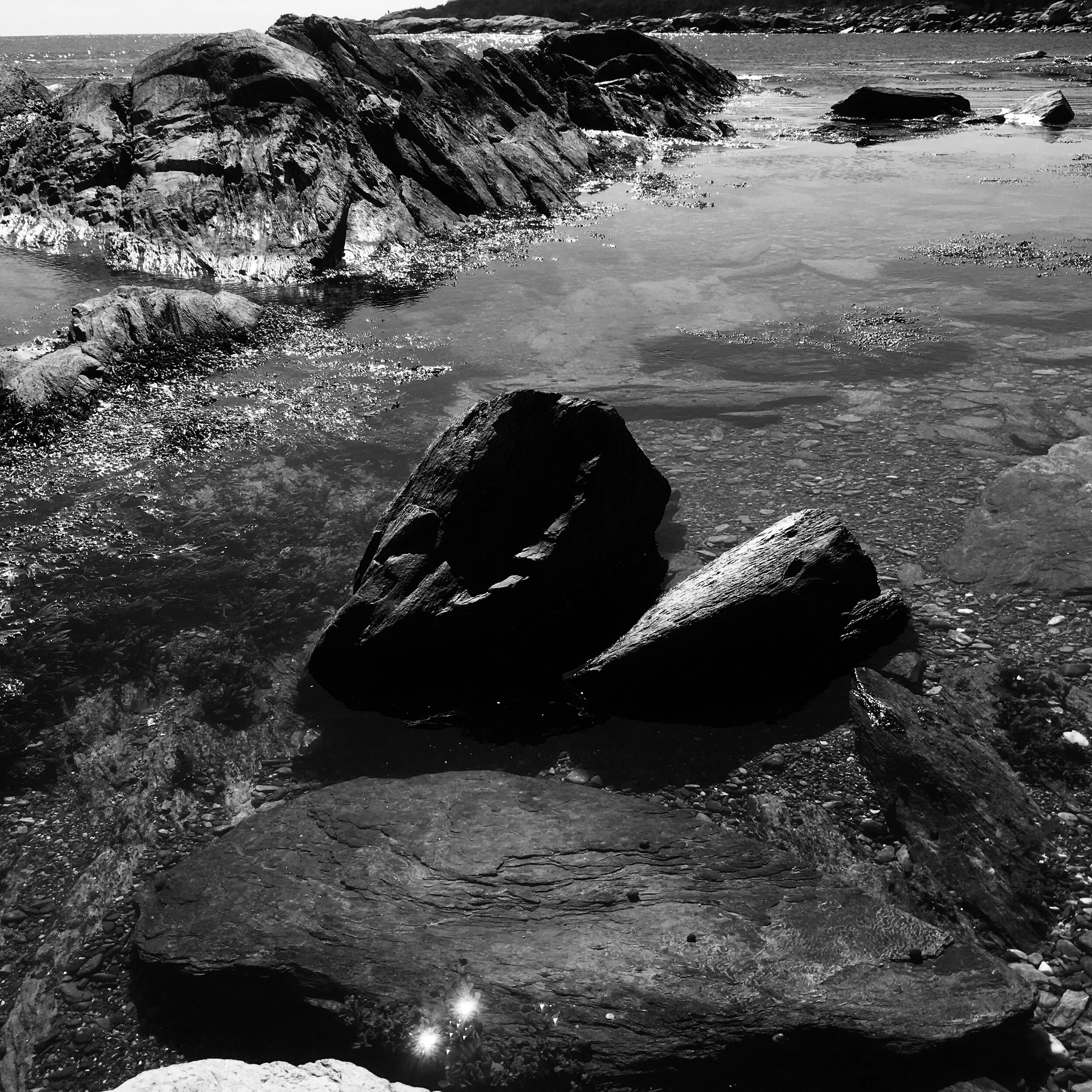 Black Rock Sachuest Point III.JPEG