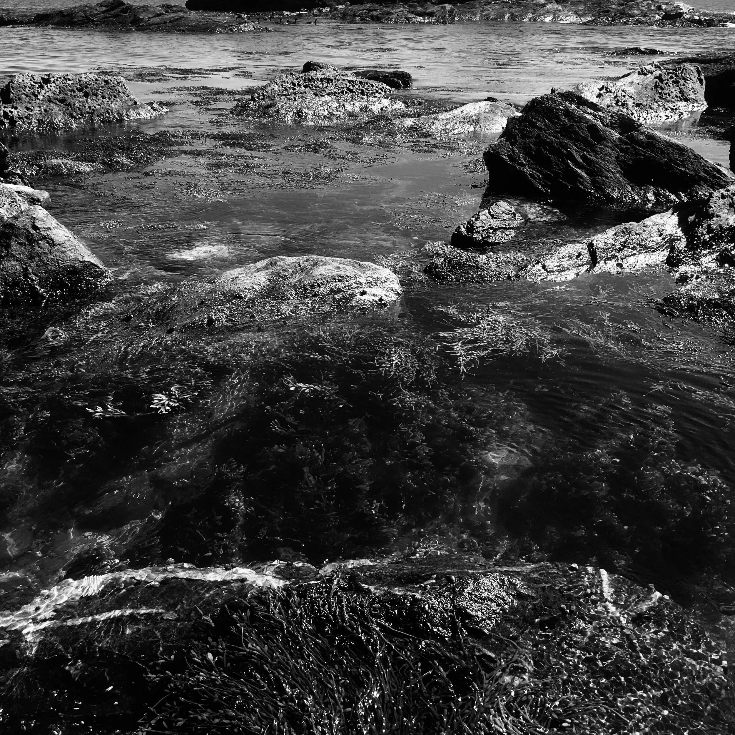 Black Rock Sachuest V.JPEG