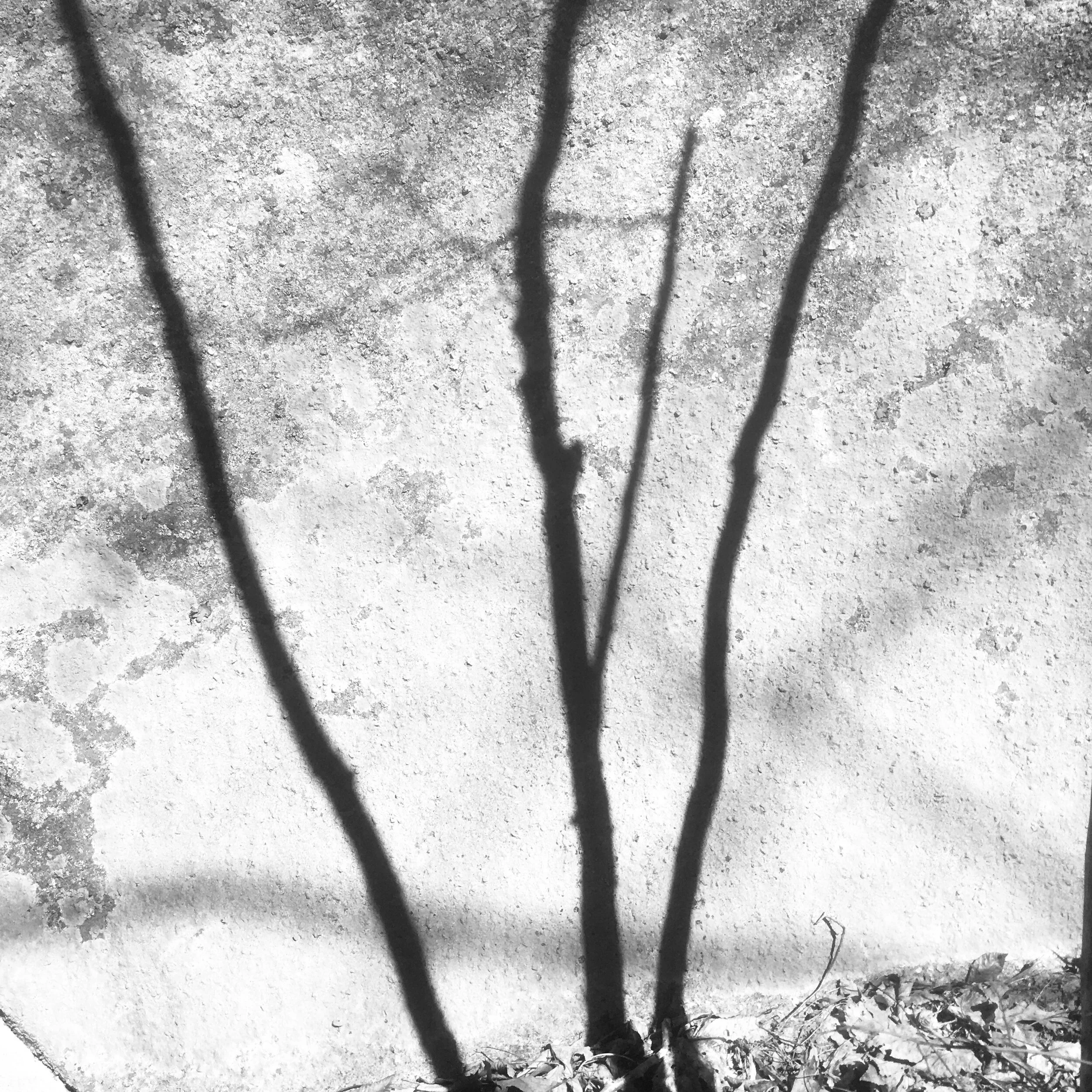 Shadow Growth on Little Half Dome Fisherville Brook VI.JPEG