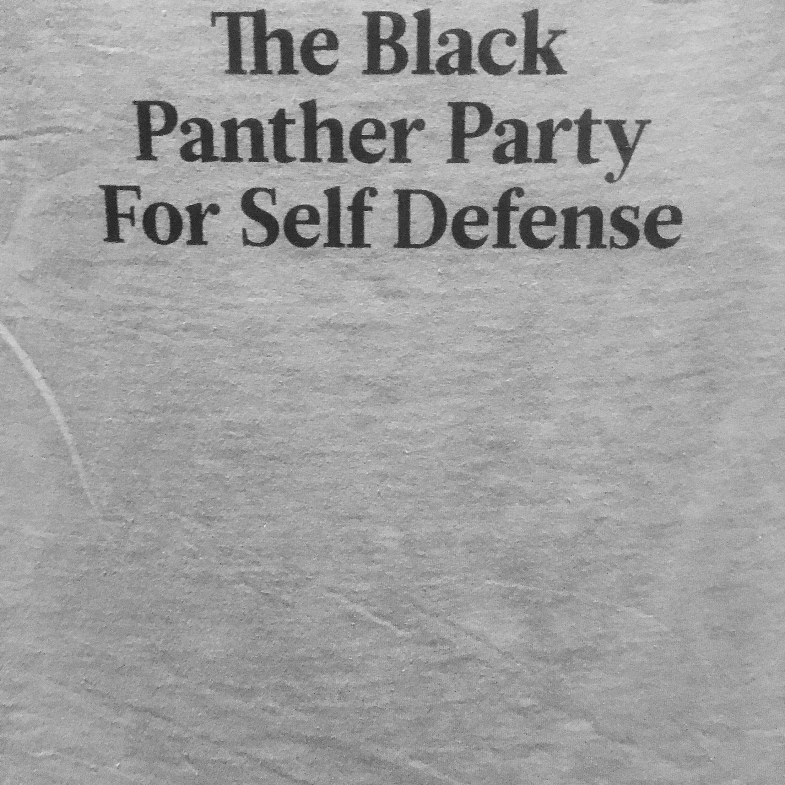 Black Panther Party for Self Defense.JPEG