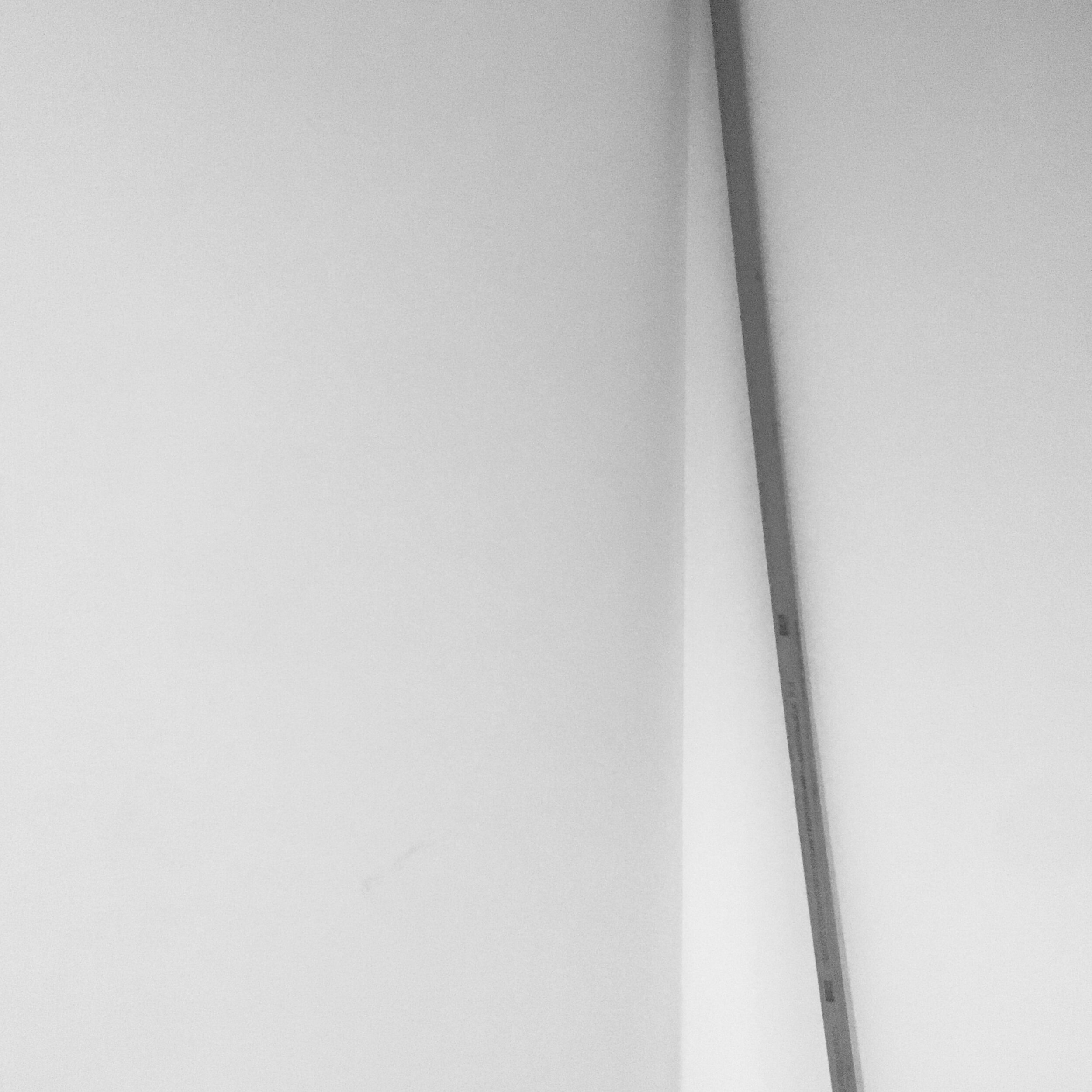 Wire Wall Granoff III.JPEG