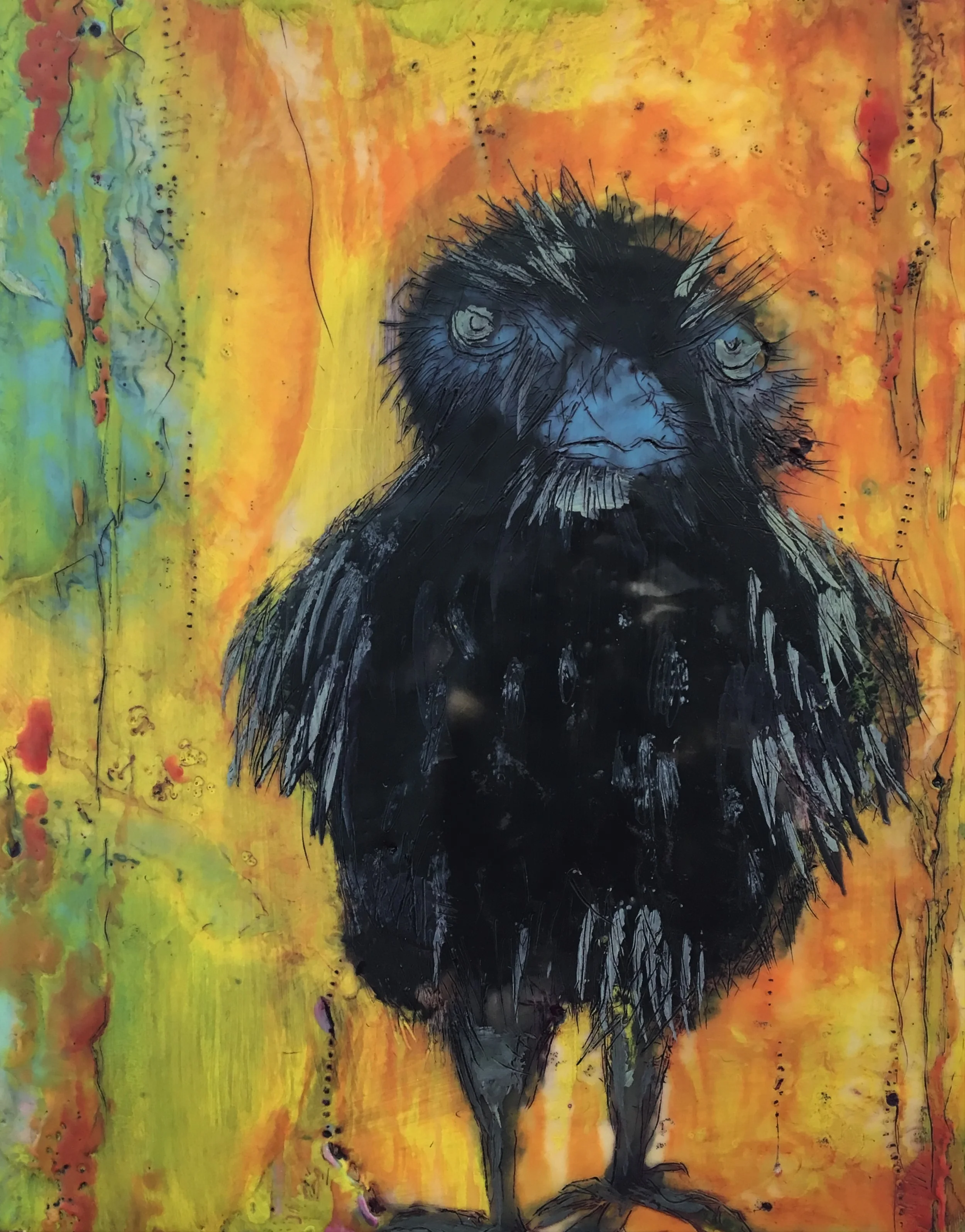 Baby Crow