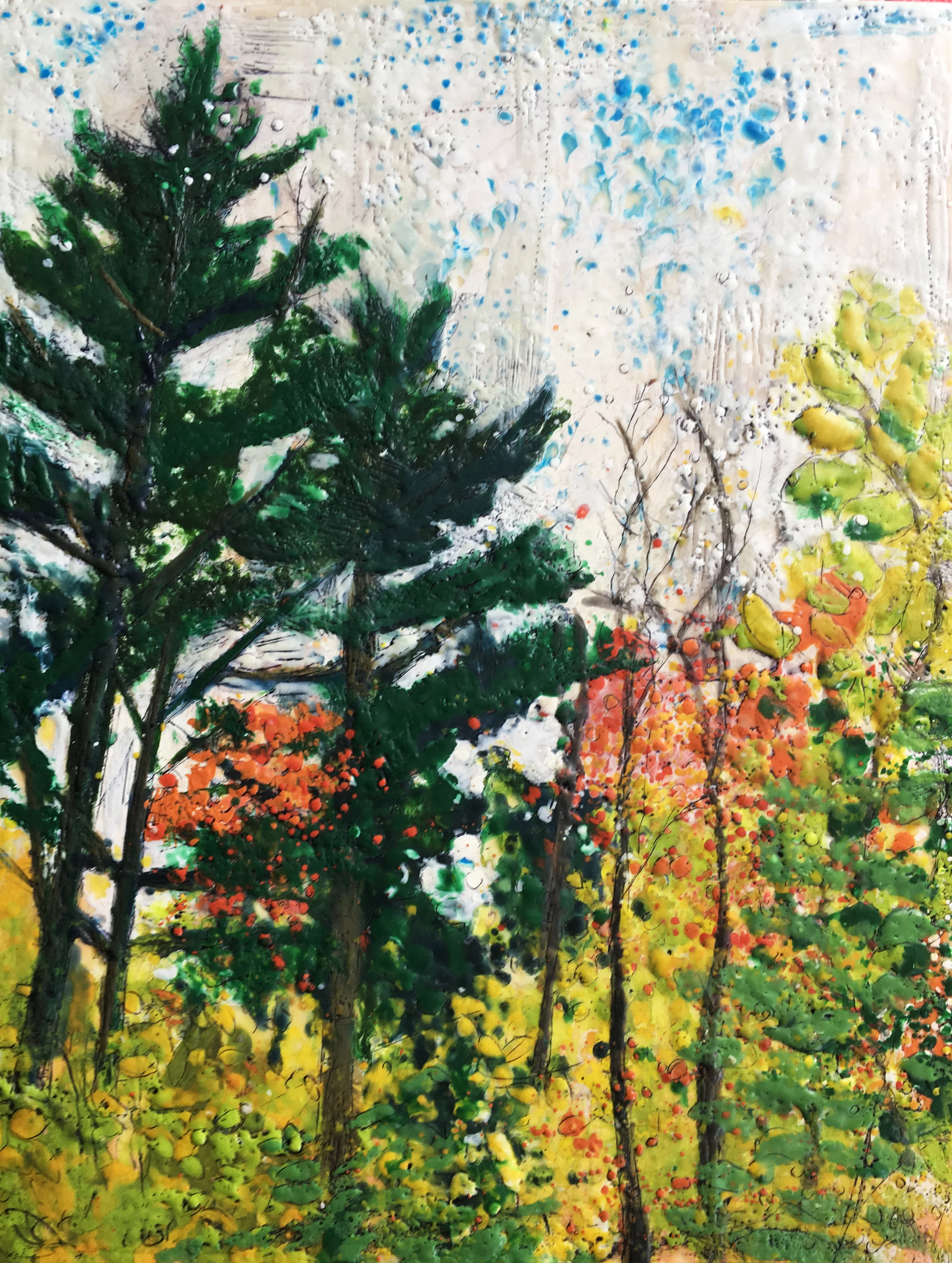 Pines and Poplars