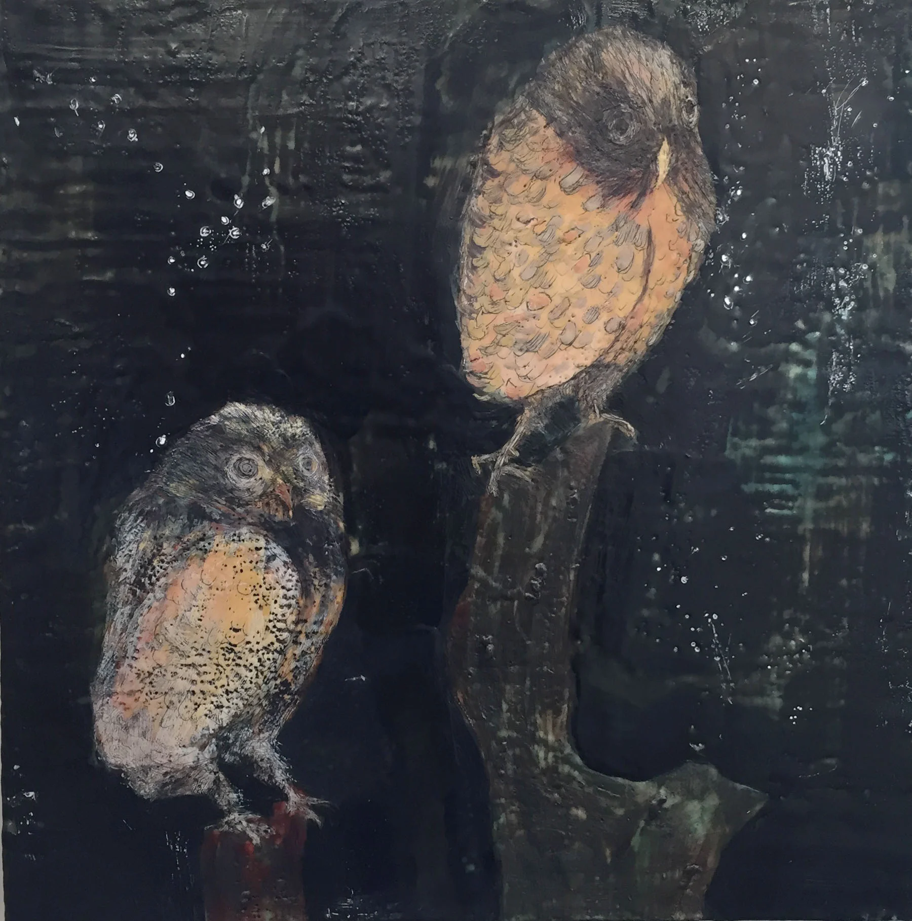 Two Nocturnals