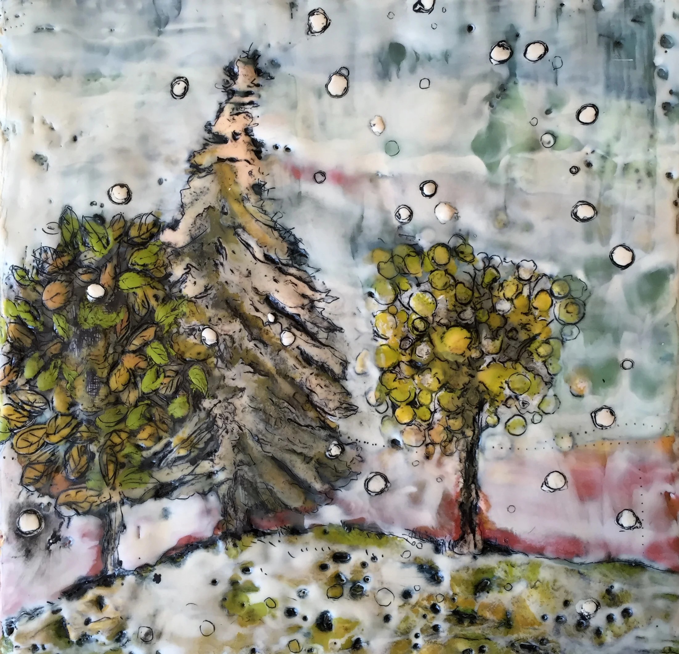 First Snow Study
