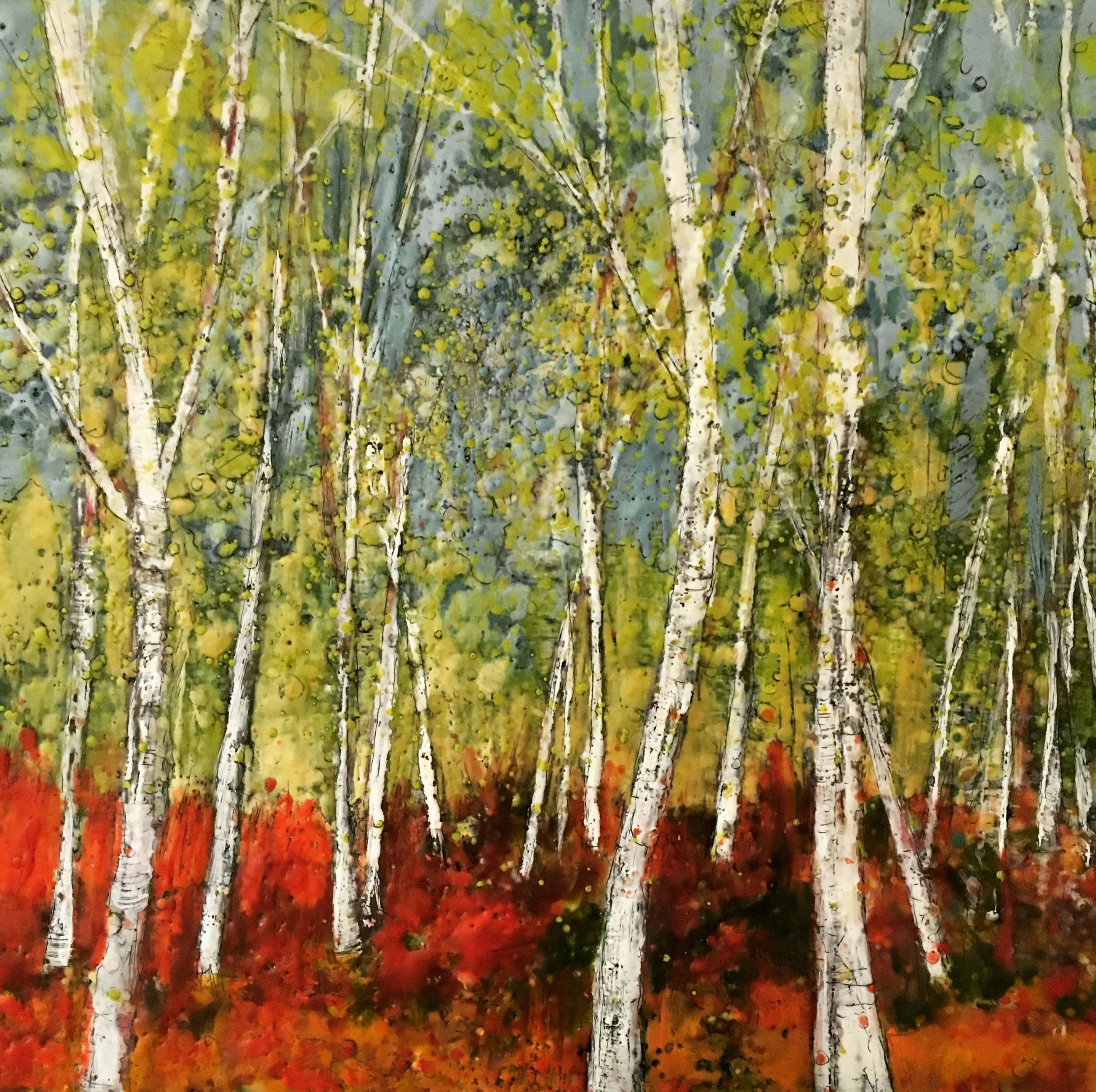 Field of Birches