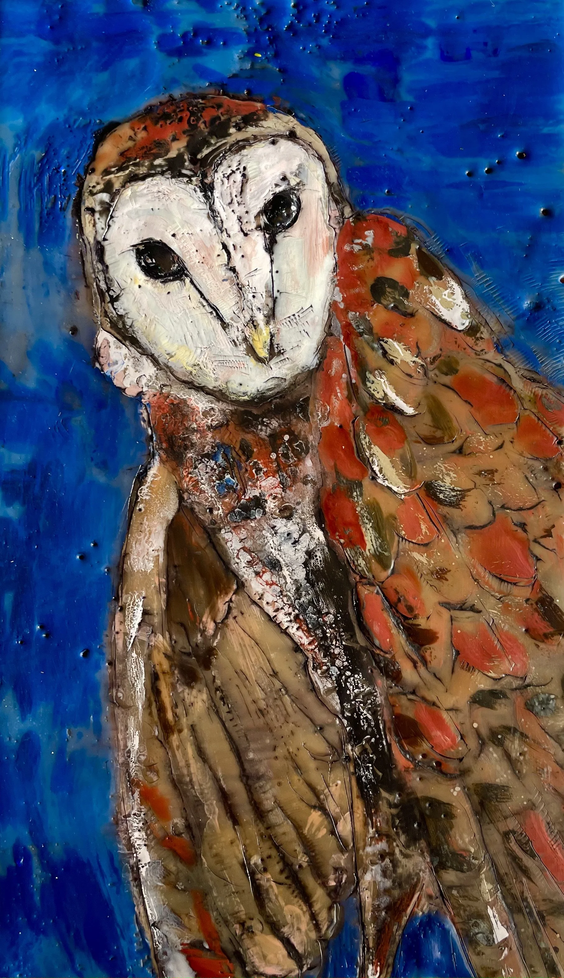 Little Barn Owl