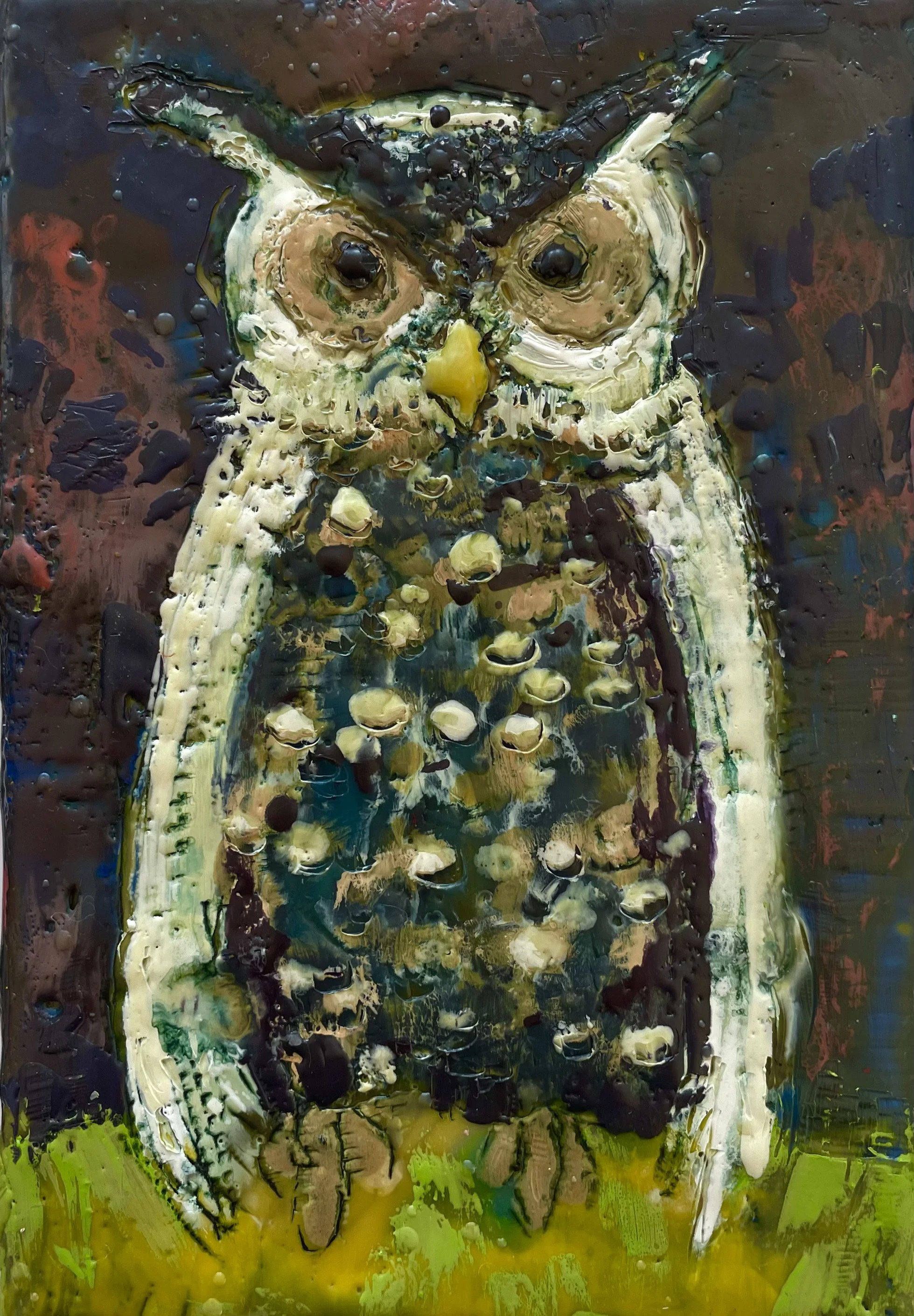 Owl, Standing Strong