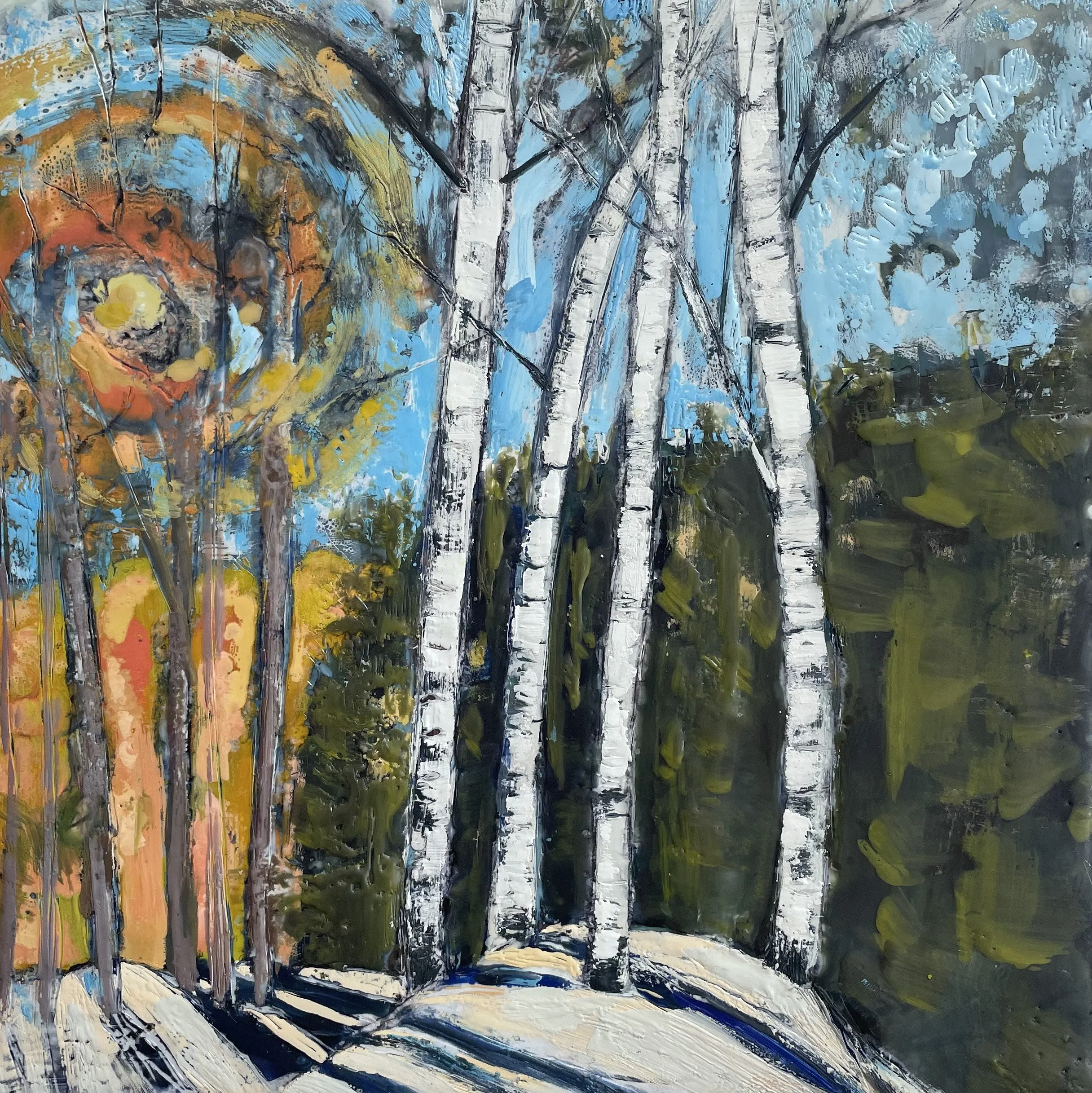 Birches, Spring On Its Way