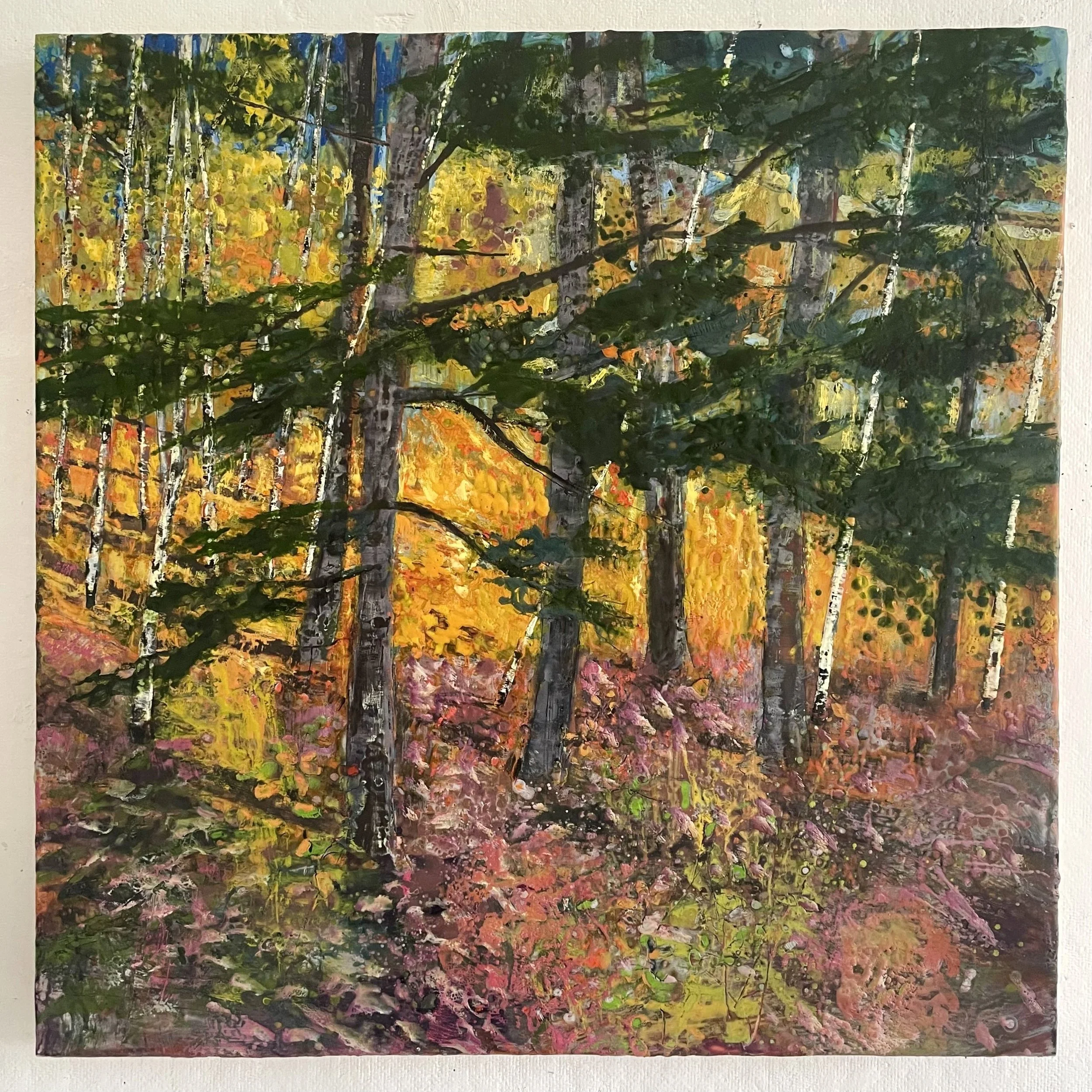 Poetics of Place, Solo Show