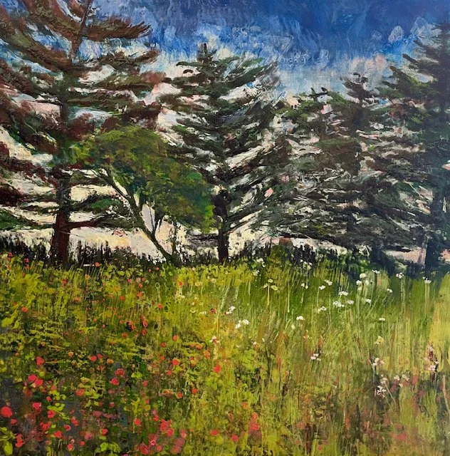 warm days owls head.JPG