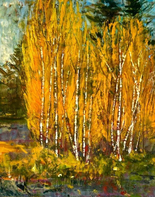 Birches and Blueberry field.JPG