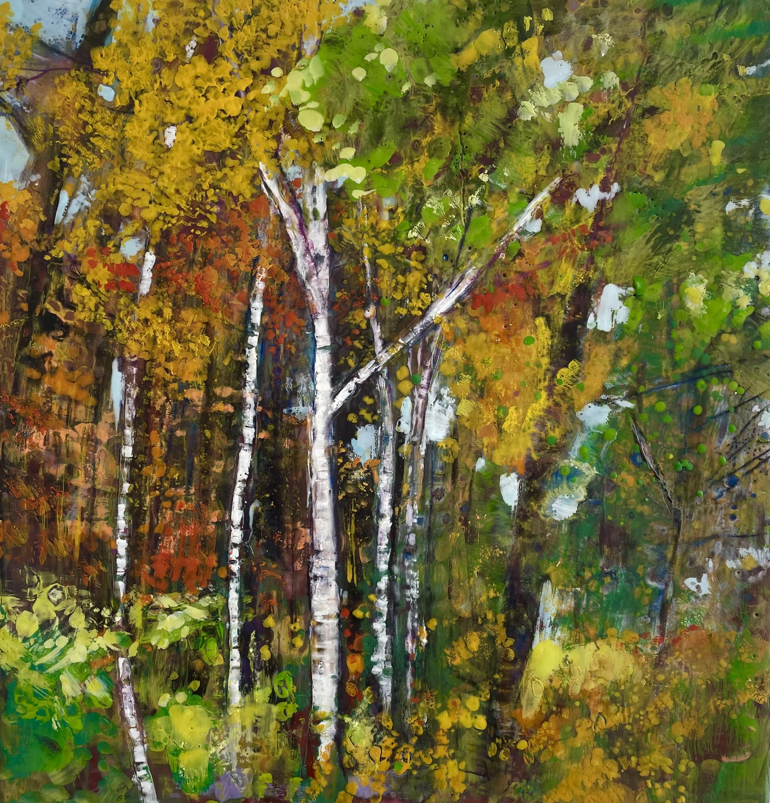 Birches Forward and Back