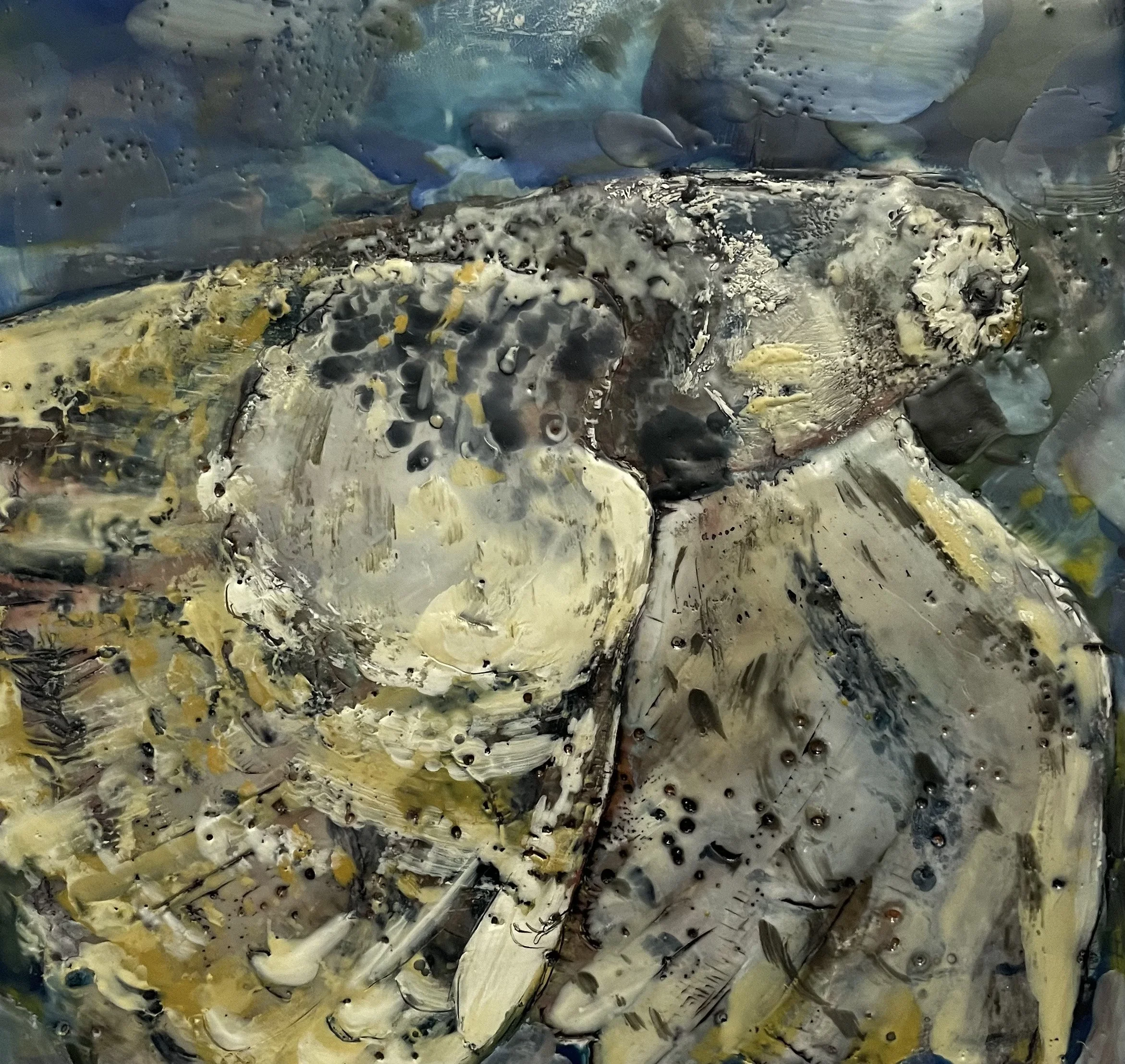 Early Evening Flight