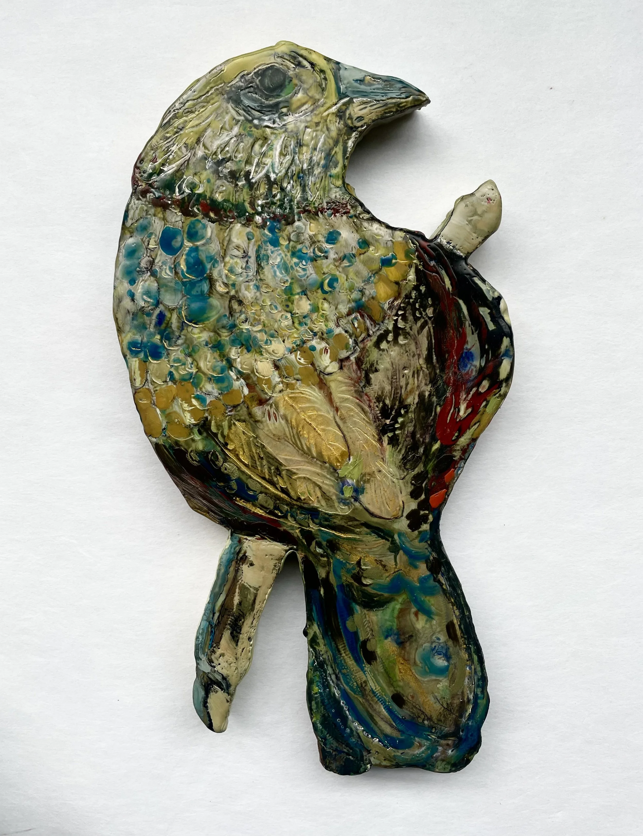 jaunco bird.jpg