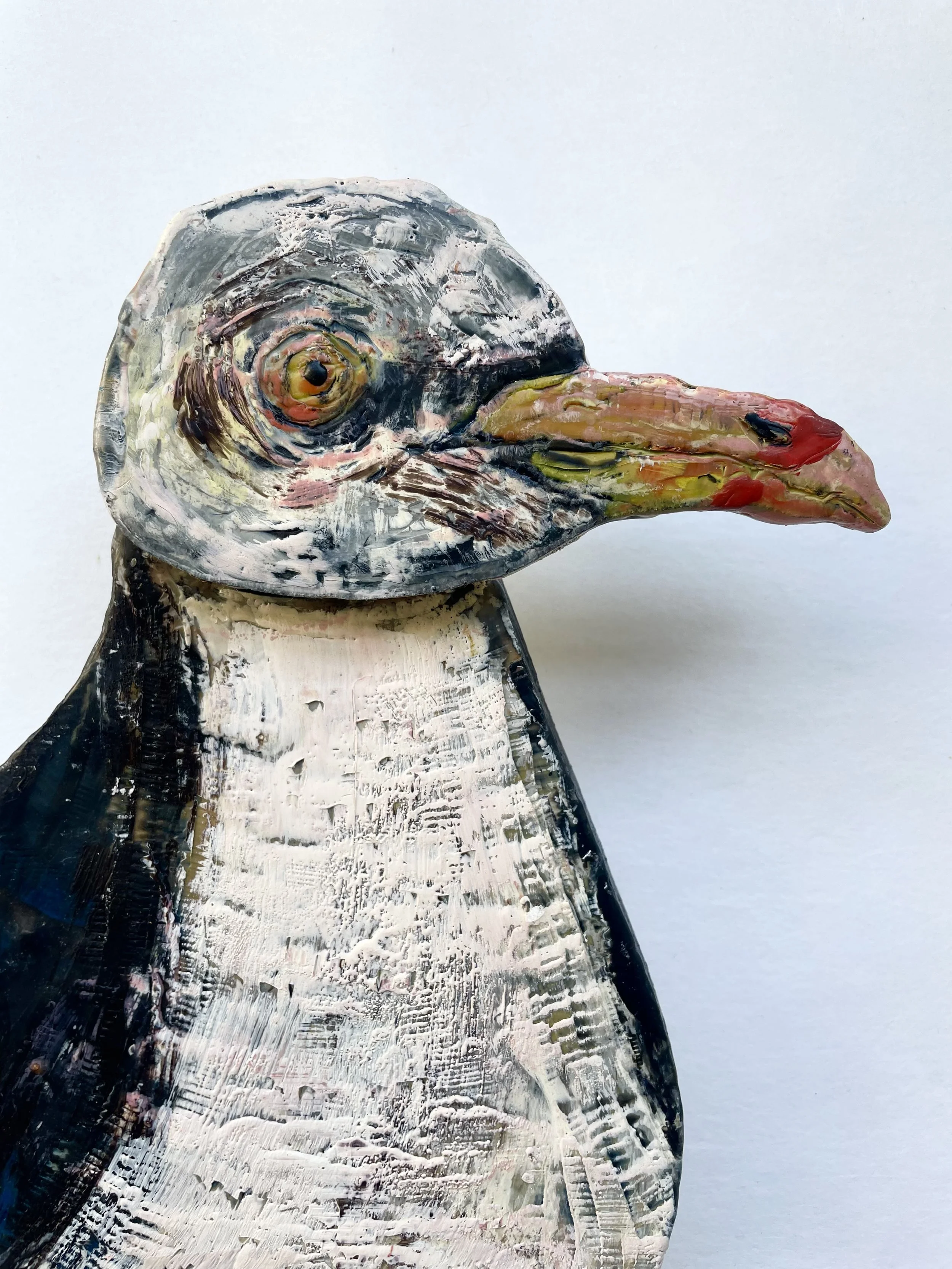 july gull head only.JPG