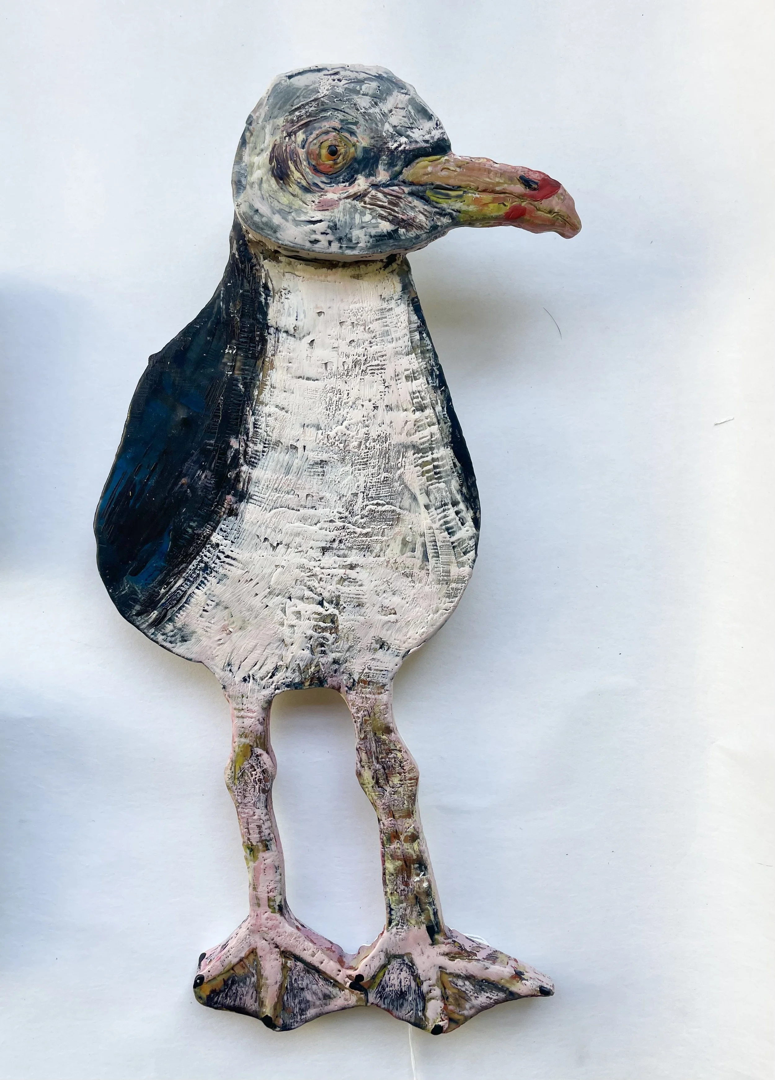 july gull body.JPG