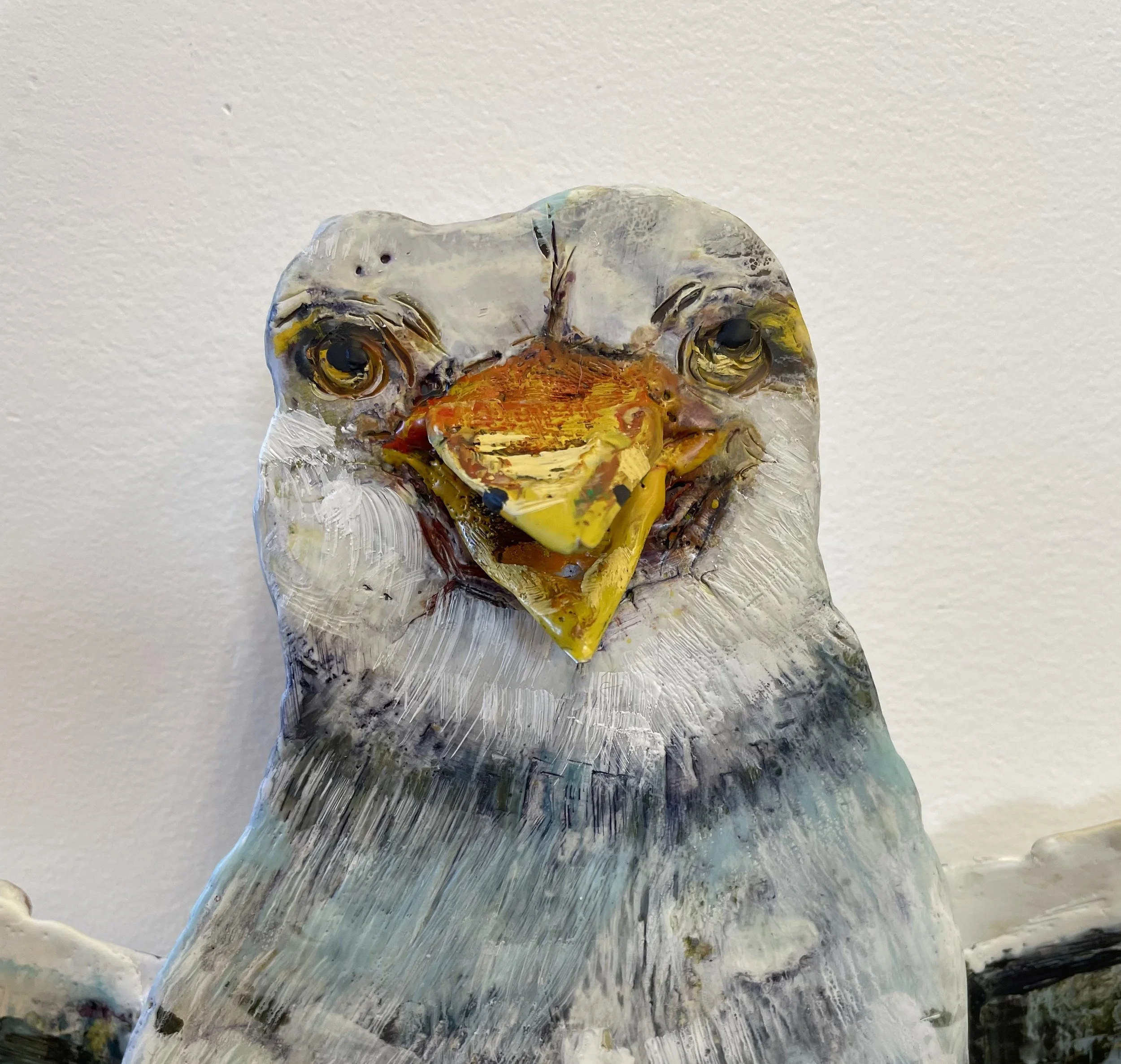 gull face.jpg