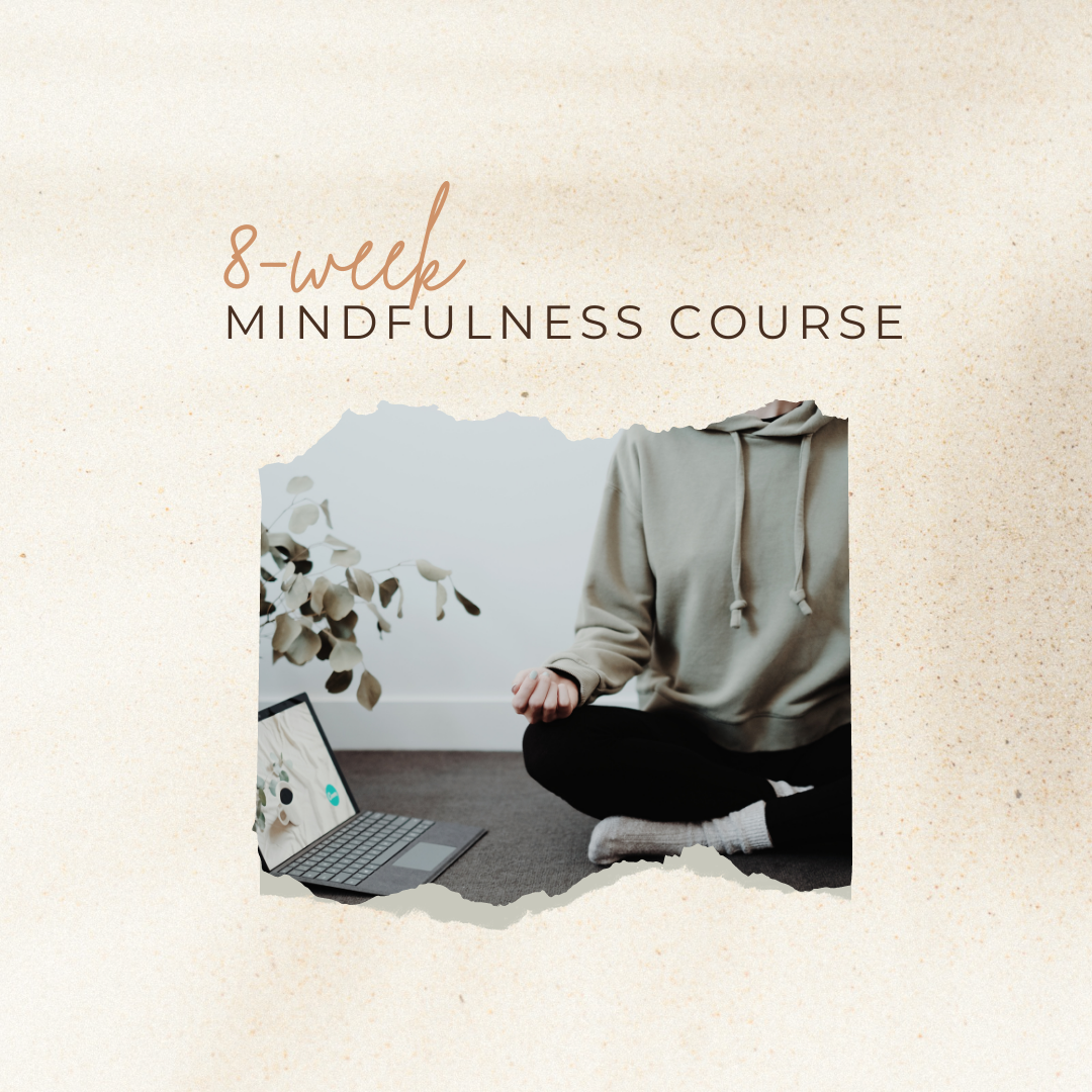 Mindfulness Skills-Training