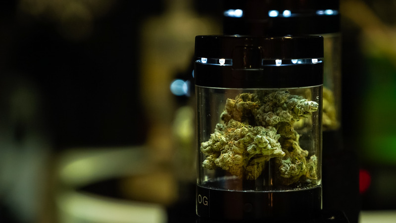 Budtending 11.jpg
