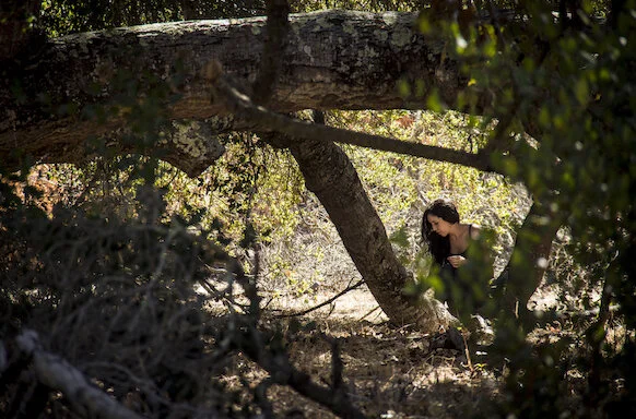 En un baño de bosque se viven momentos muy puros
