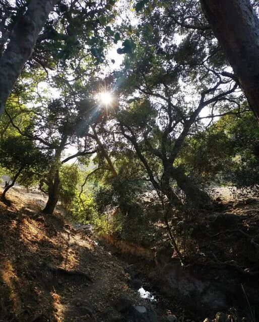 La Naturaleza está deseosa de recibirnos.. ⁣