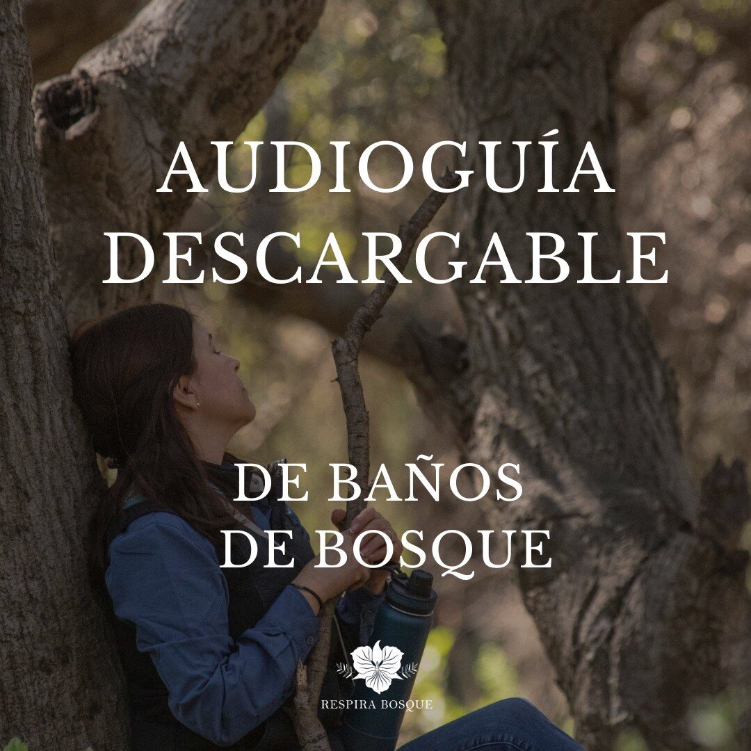 Despu&eacute;s de un buen tiempo de so&ntilde;arlo y planearlo,

&iexcl;Finalmente tengo lista una Audiogu&iacute;a descargable de Ba&ntilde;os de Bosque! 🎧🌲

Esta audiogu&iacute;a te permitir&aacute; experimentar un Ba&ntilde;o de Bosque por tu pr