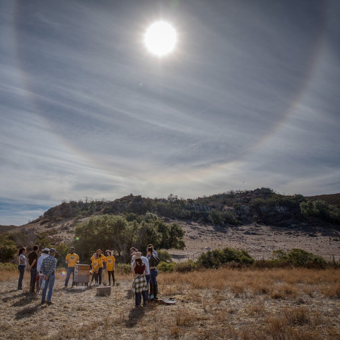 Hoy es un d&iacute;a portal, seg&uacute;n todos los astr&oacute;logos.

La conjunci&oacute;n entre Marte, Urano y Nodo Norte en Tauro ♉️ es un evento que ven&iacute;an hablando en esa comunidad desde hace d&eacute;cadas.

&iquest;Y qu&eacute; dicen q