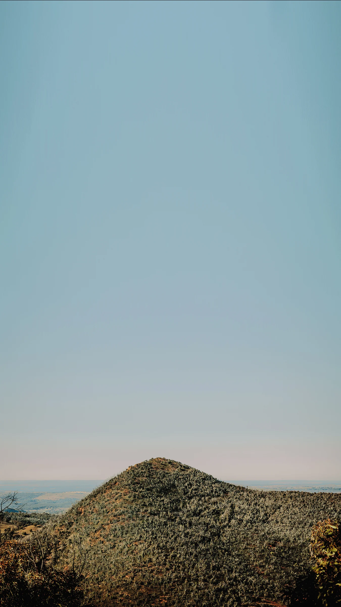landscape.jpg
