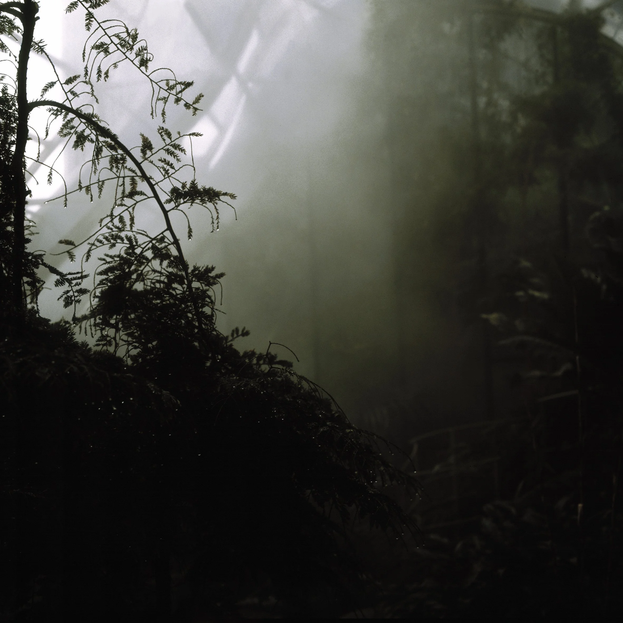 unspecified-3.jpg