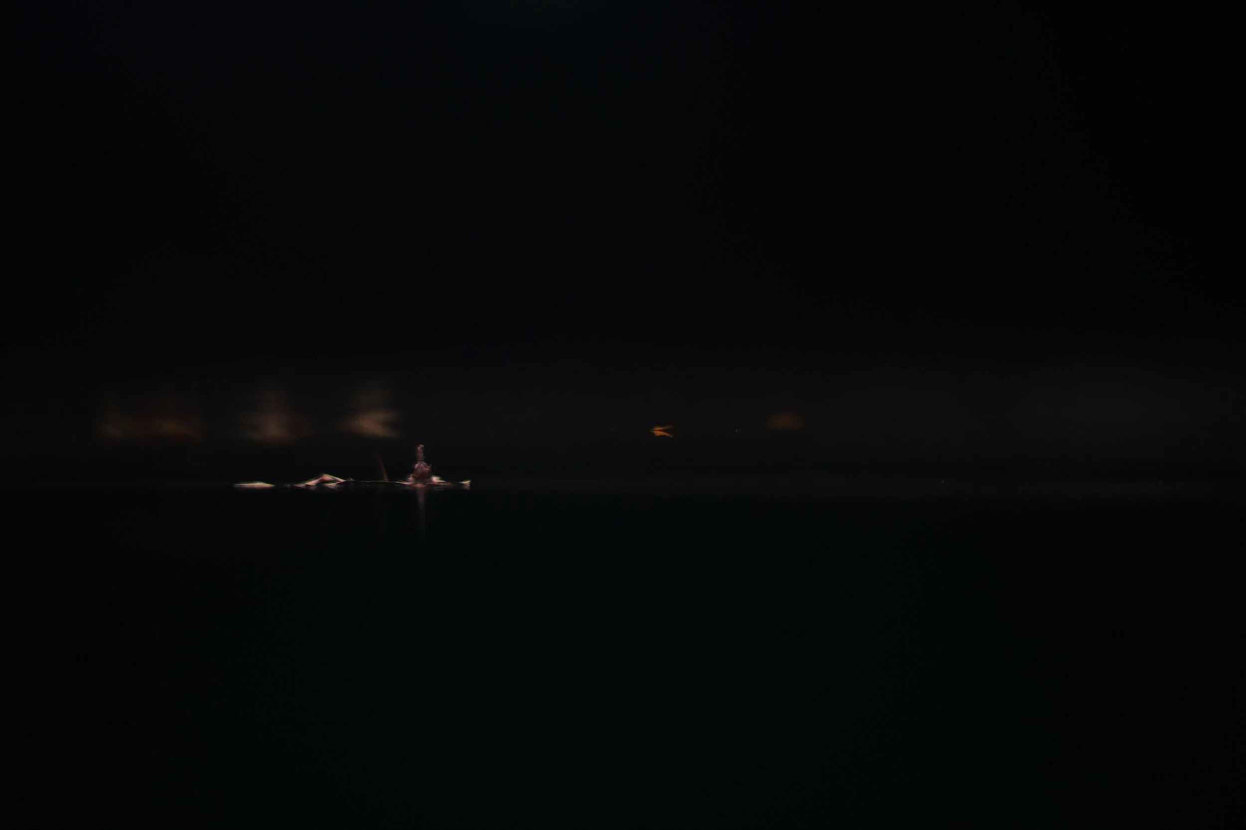 belligen_sm (3 of 10).jpg