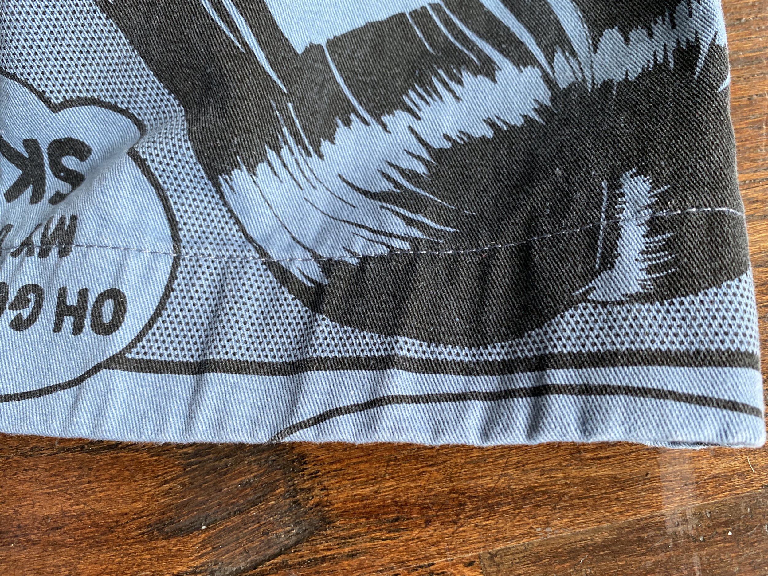 Supreme Thrasher Shorts (S) — SEATTLE SELECT