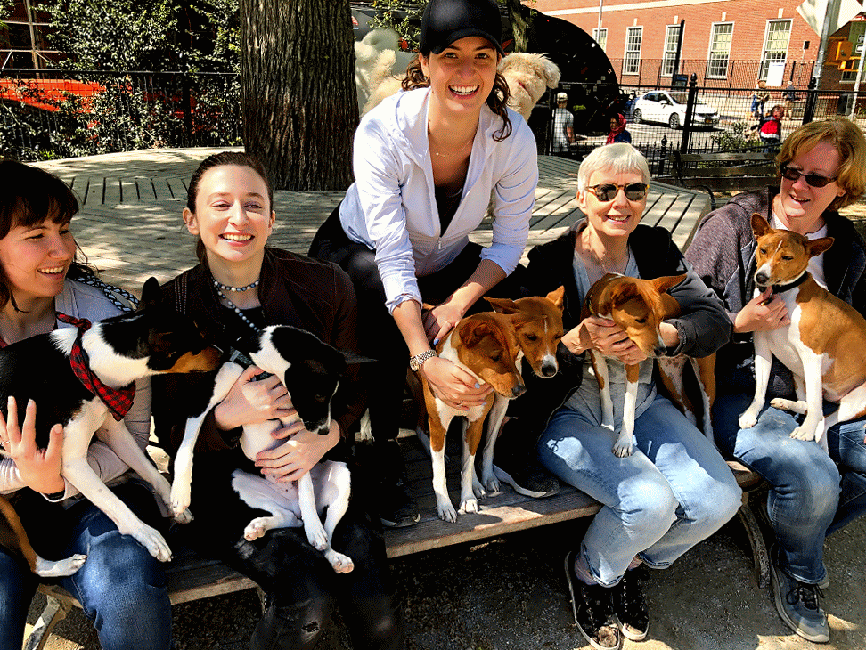 New York City Basenji Gathering - 11 May 2019