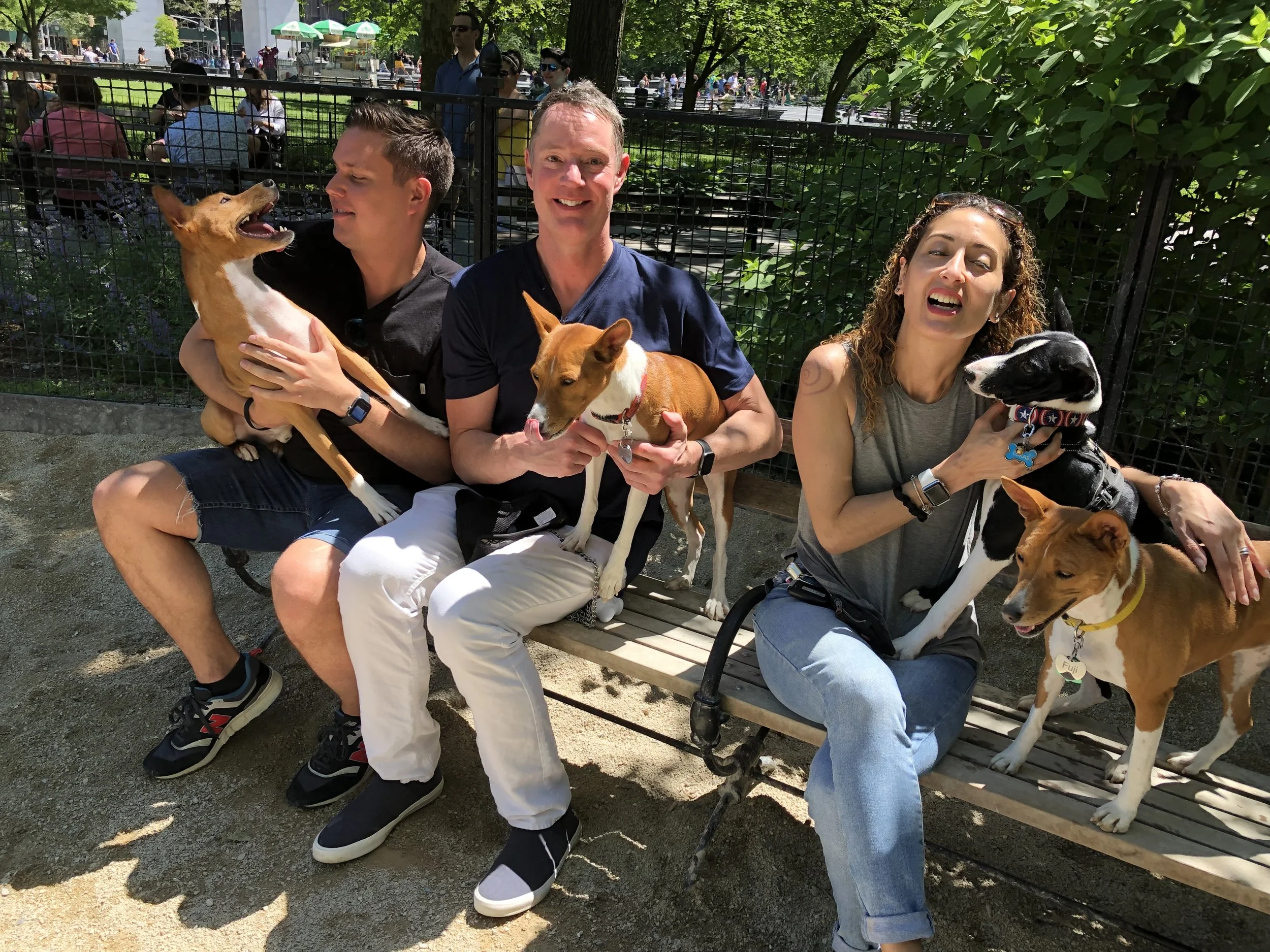 New York City Basenji Gathering - 26 May 2019