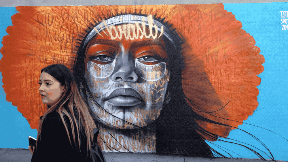 Johnny, Zena, a Brasilian Coda - New York City Basenji Gathering - 6 October 2019