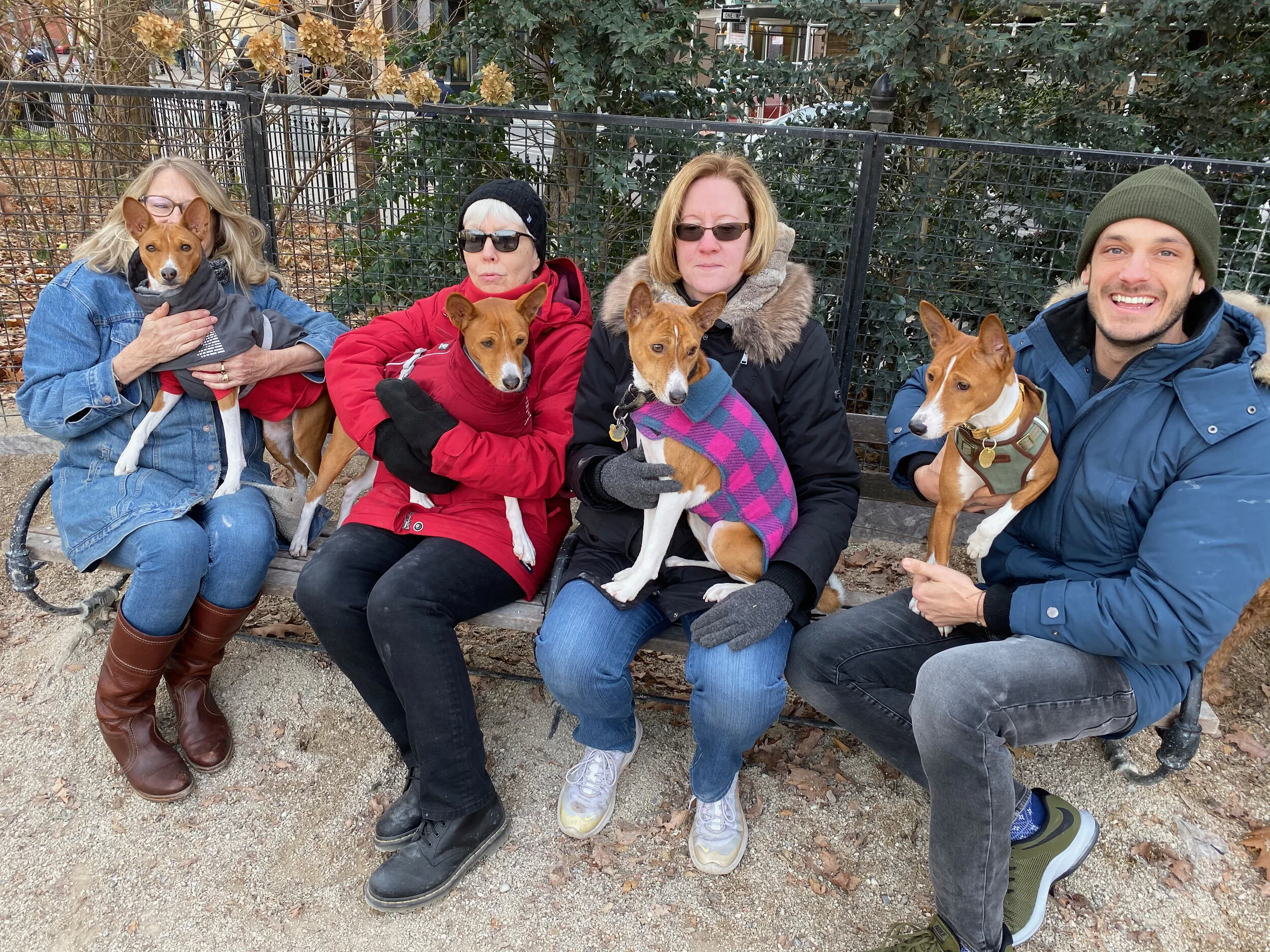 Moses Debuts - New York City Basenji Gathering - 8 December 2019