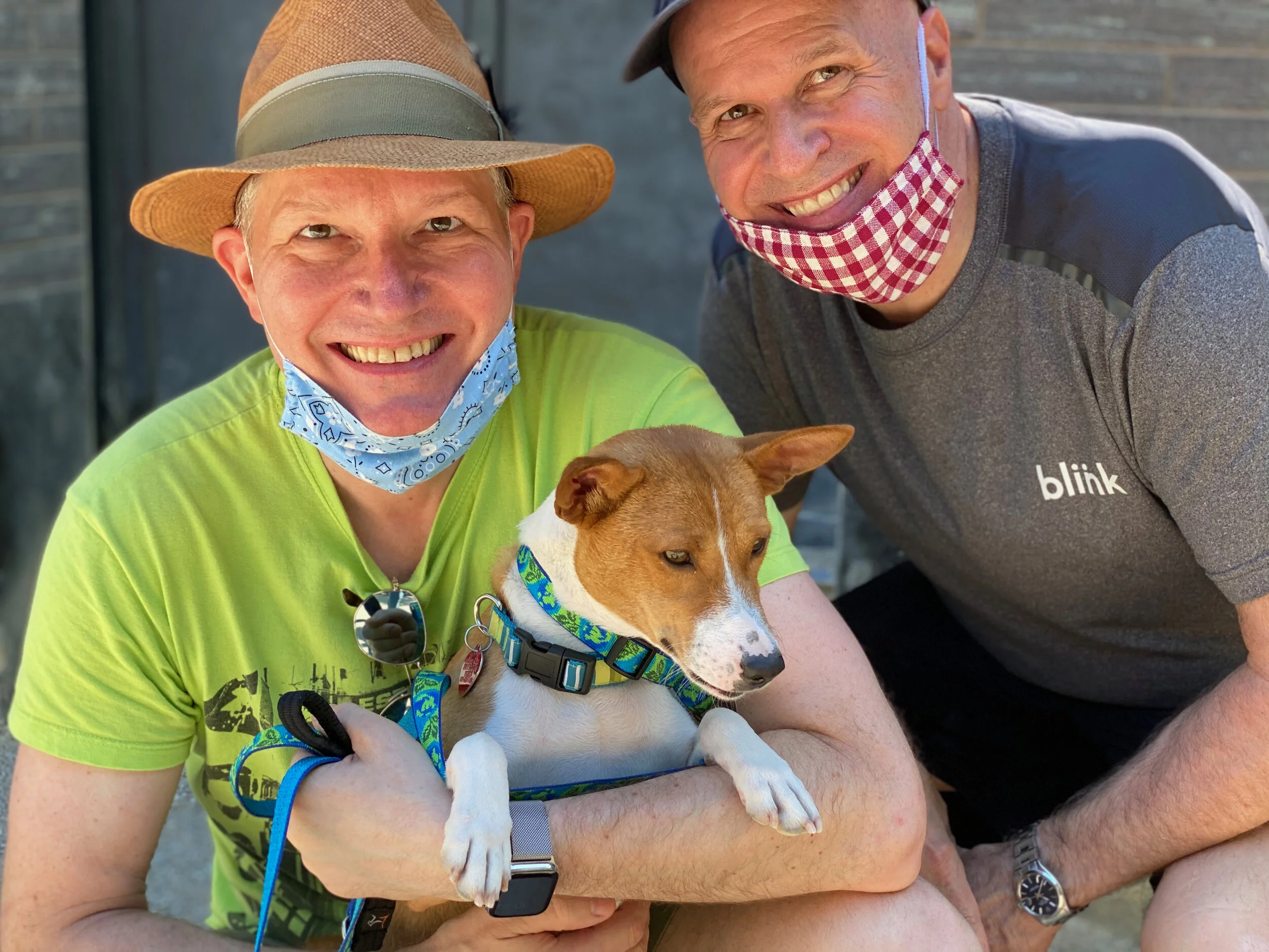 Three Newbies: Two Pups, One Adult - New York City Basenji Gathering - 19 July 2020 