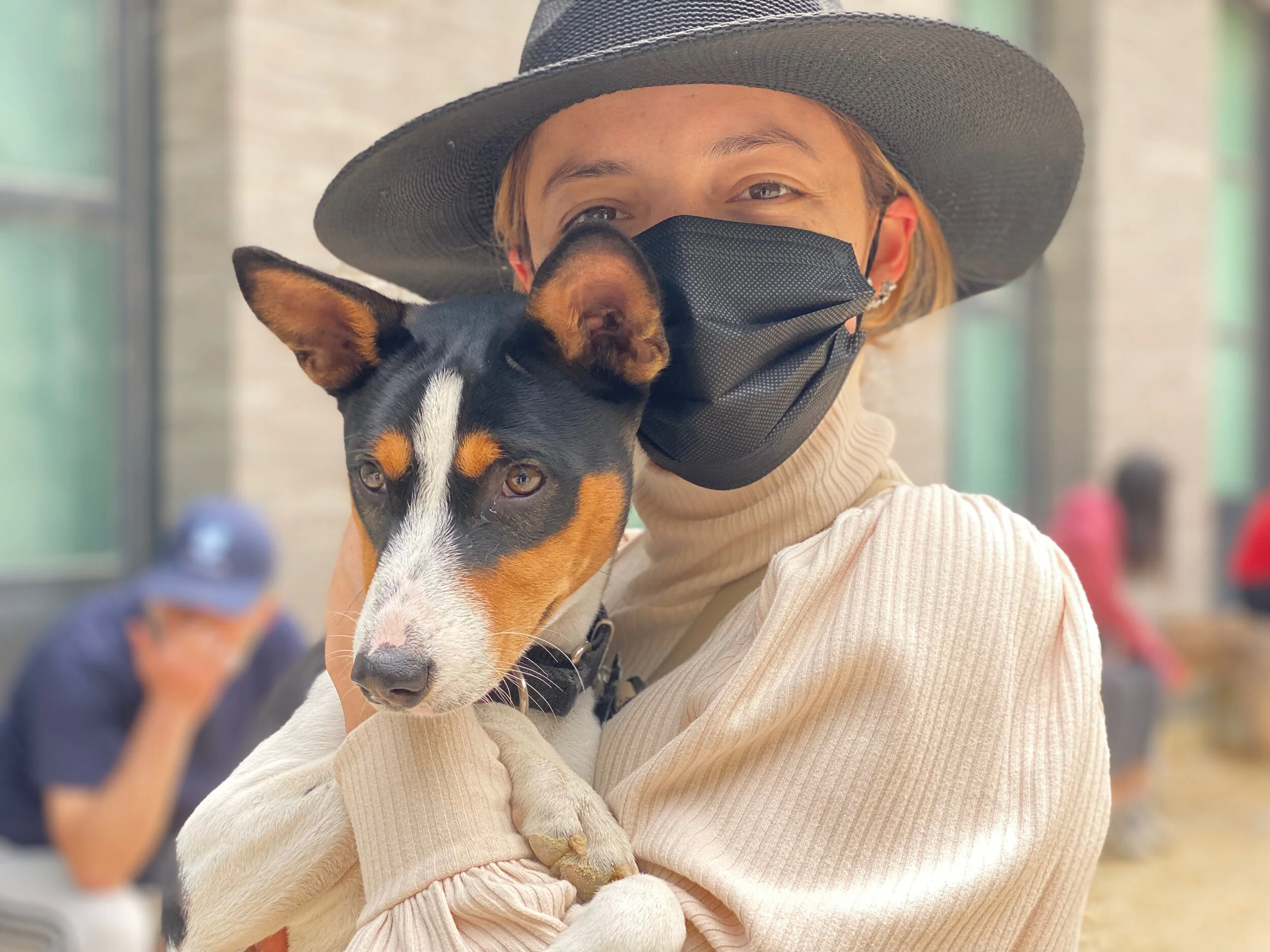 Nine Males, Two Females - New York City Basenji Meetup - 9 May 2021