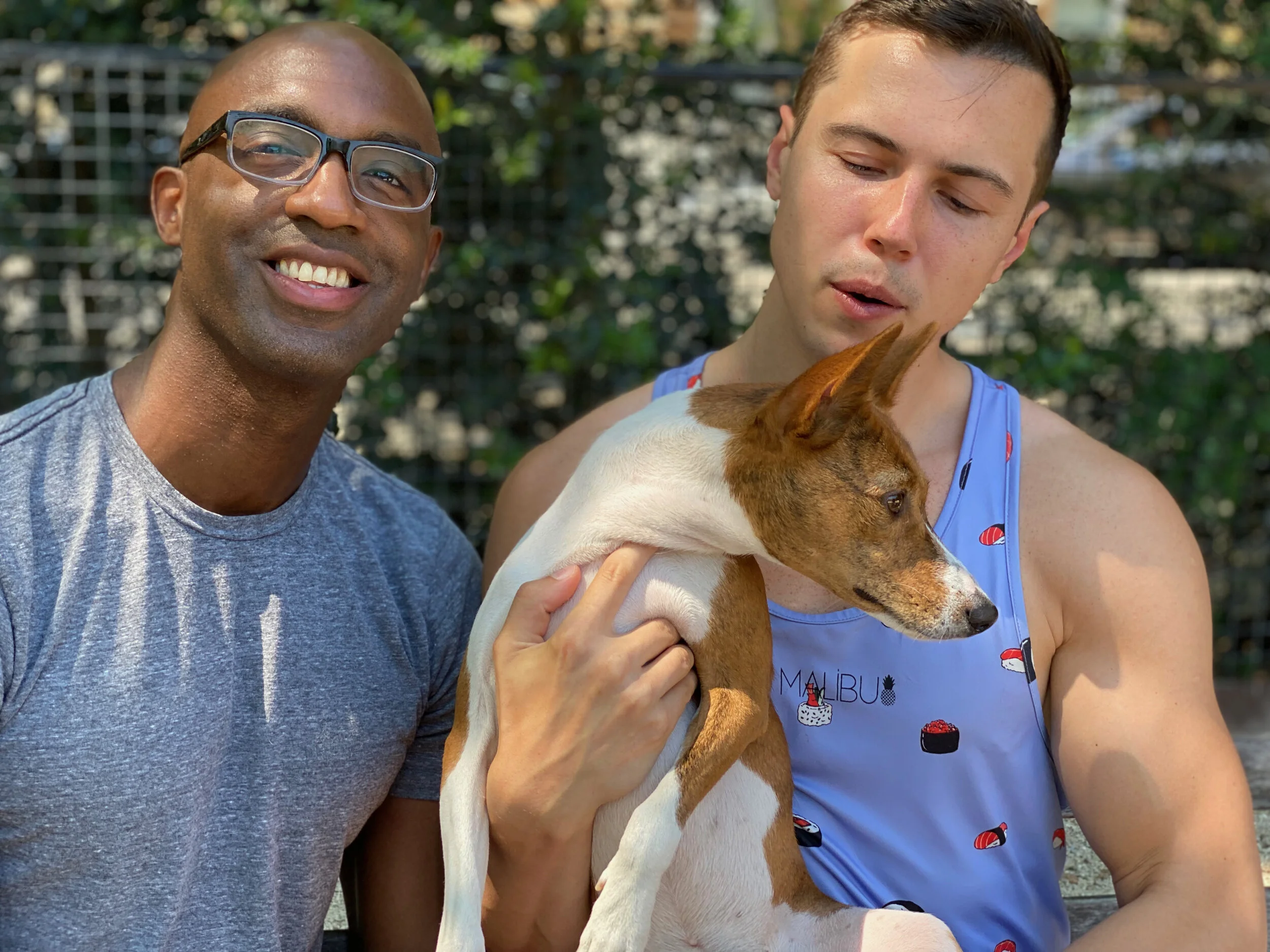 Nine Basenjis on a Hot June Morning - New York City Basenji Meetup - 6 June 2021