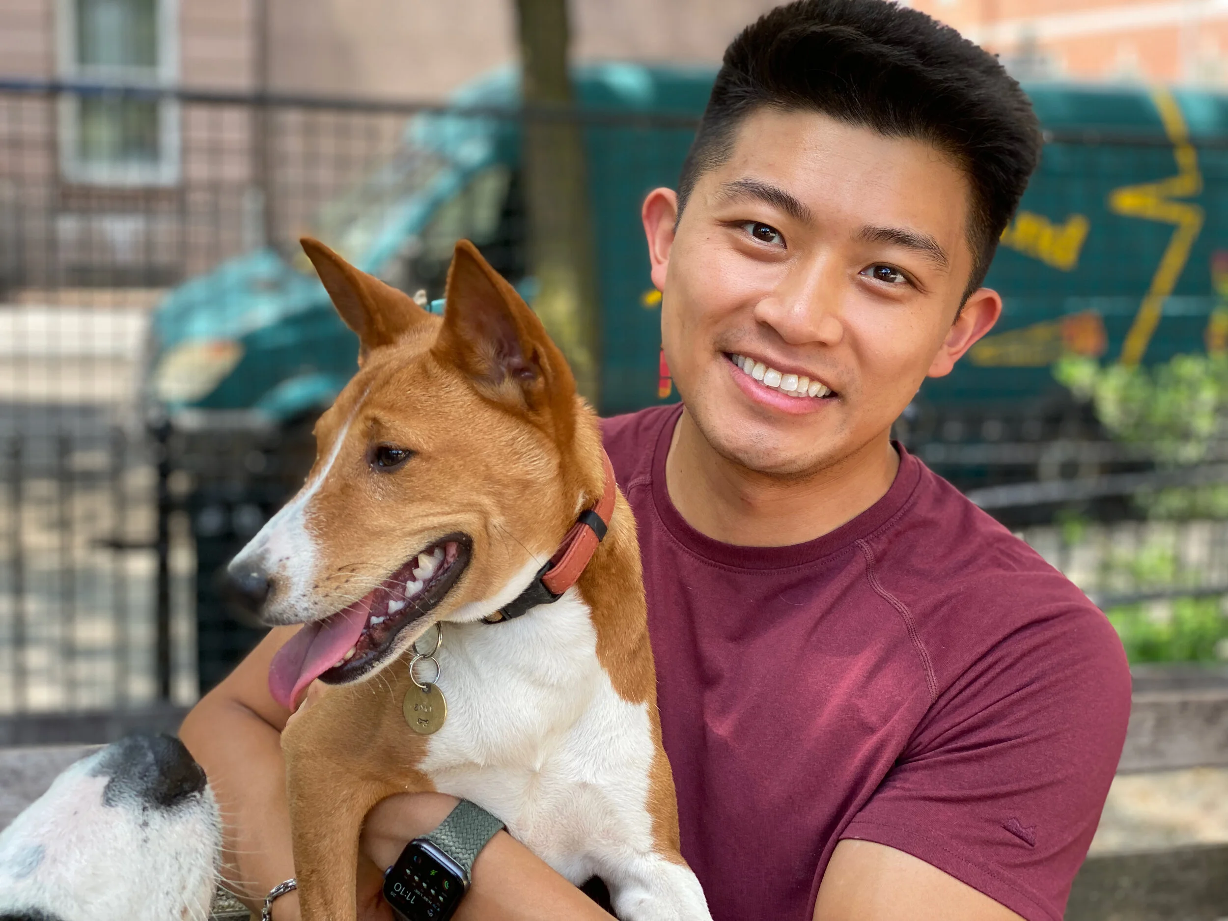 Two Puppies Premiere - New York City Basenji Meetup - 20 June 2021